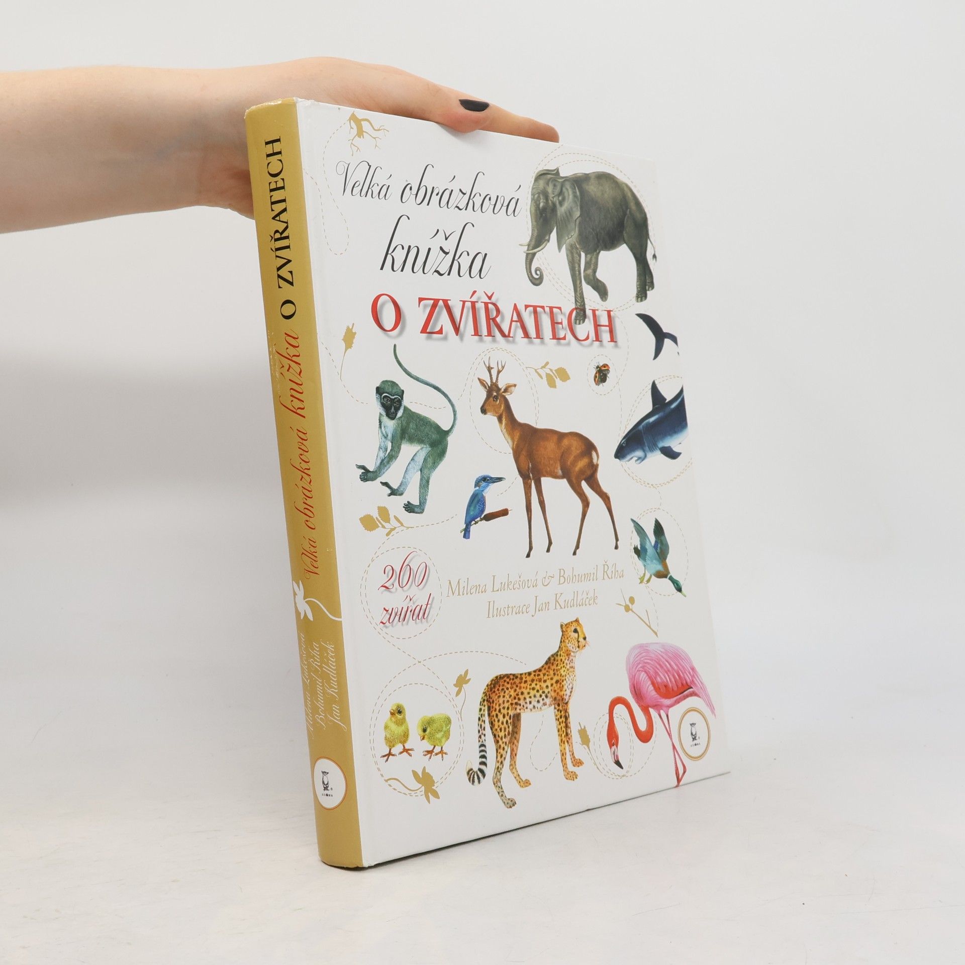 Velká obrázková knížka o zvířatech: 260 zvířat od A do Ž