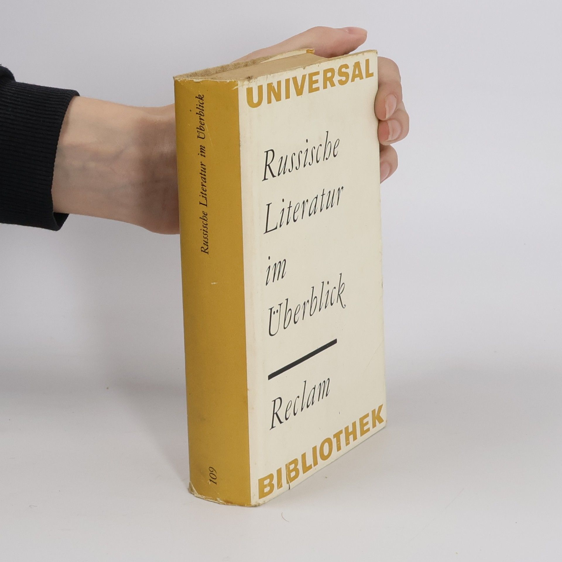 Collectif d'auteurs Russische Literatur im Überblick