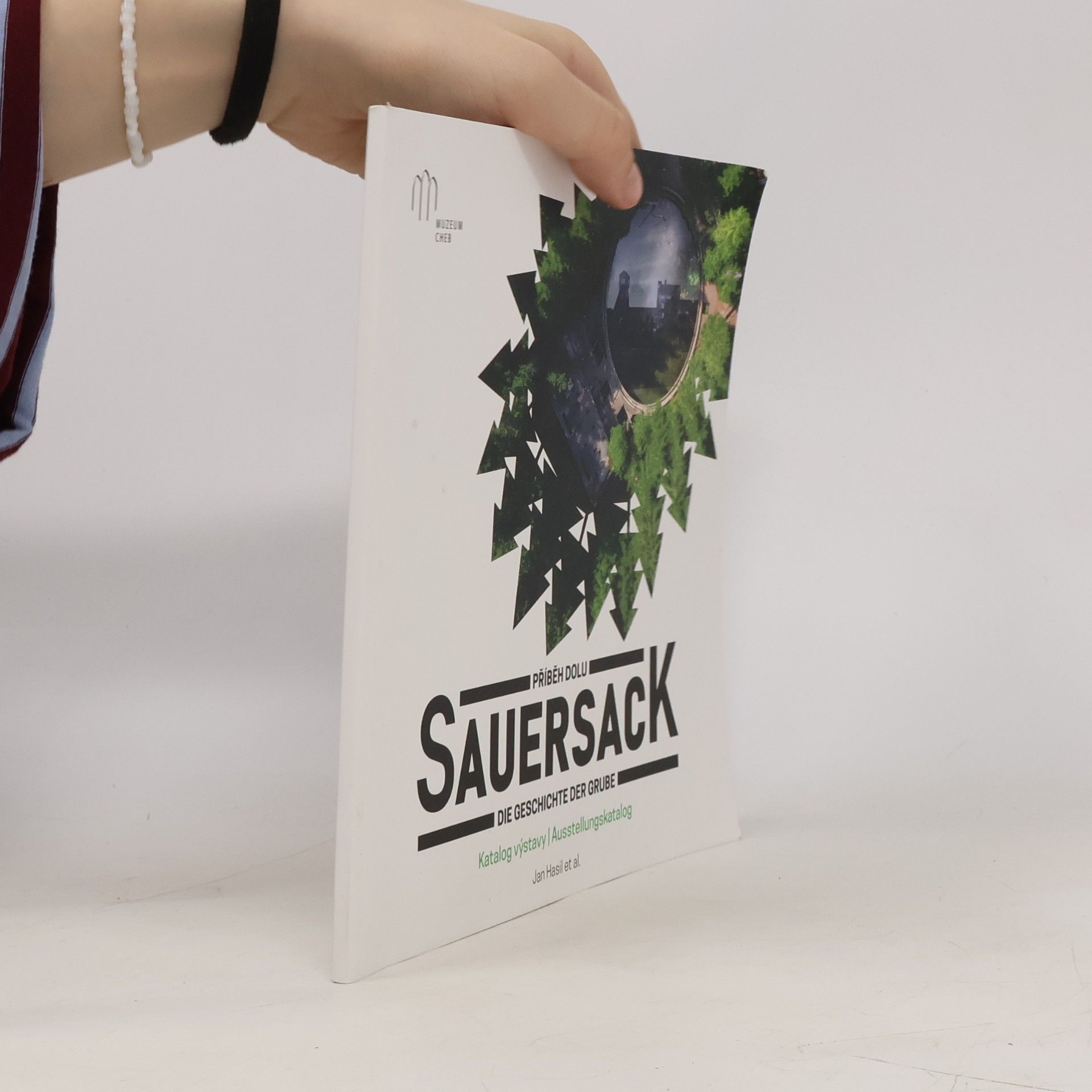 Příběh dolu Sauersack: Katalog výstavy / Die Geschichte der Grube Sauersack: Ausstellungskatalog