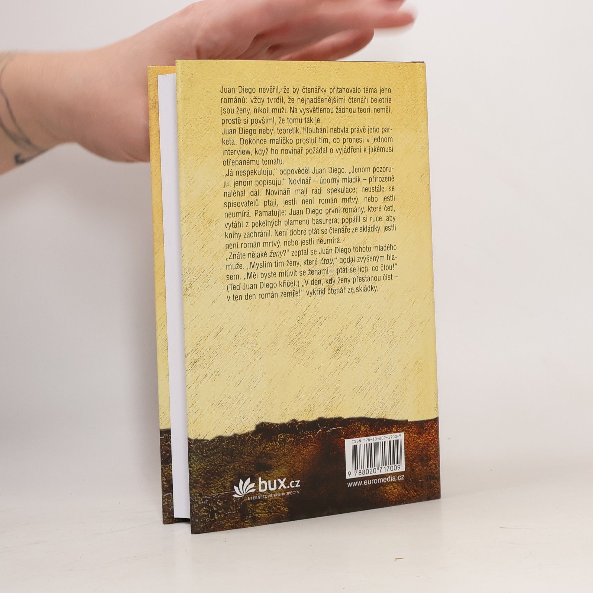 John Irving Ulice Záhadných tajemství