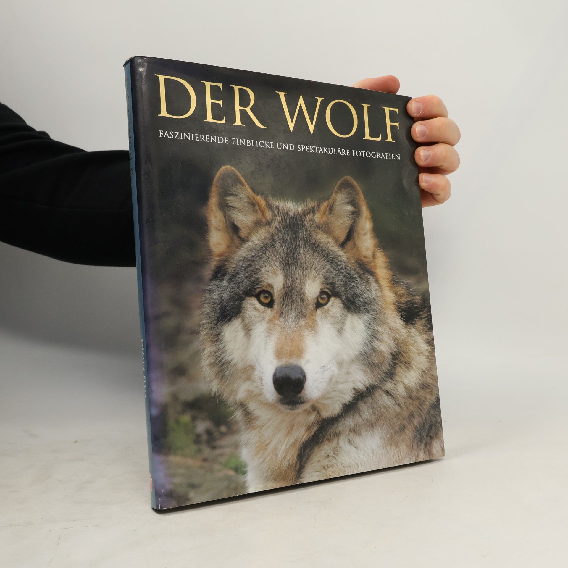 Shaun Ellis Der Wolf