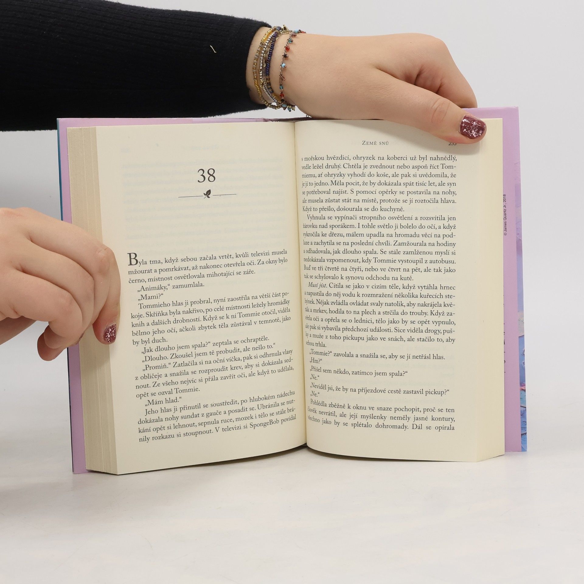 Nicholas Sparks Země snů