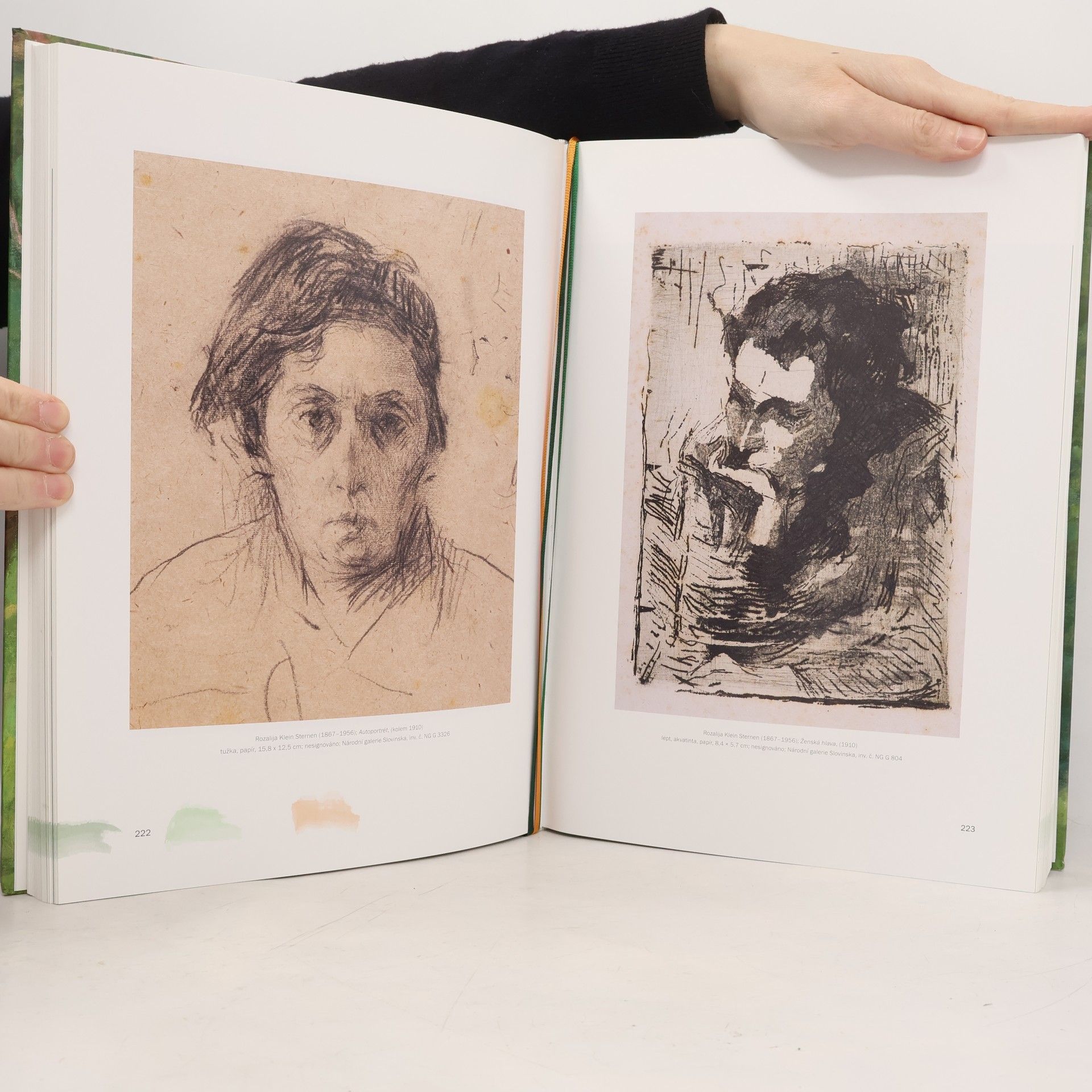 Autorenkollektiv Impresionismus od úsvitu do soumraku : slovinské umění 1870-1930