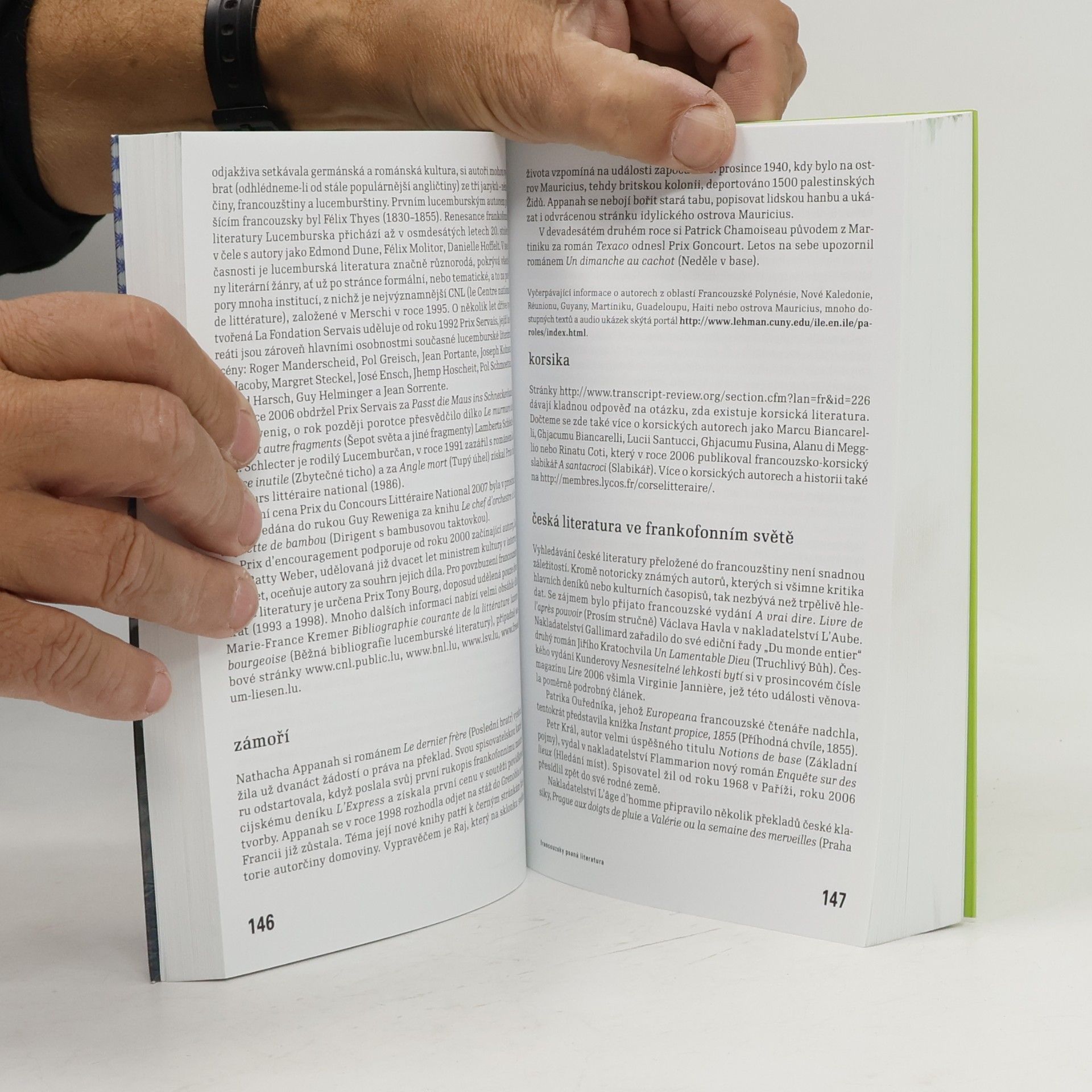 Kolektiv autorů Literatura ve světě. Svět v literatuře