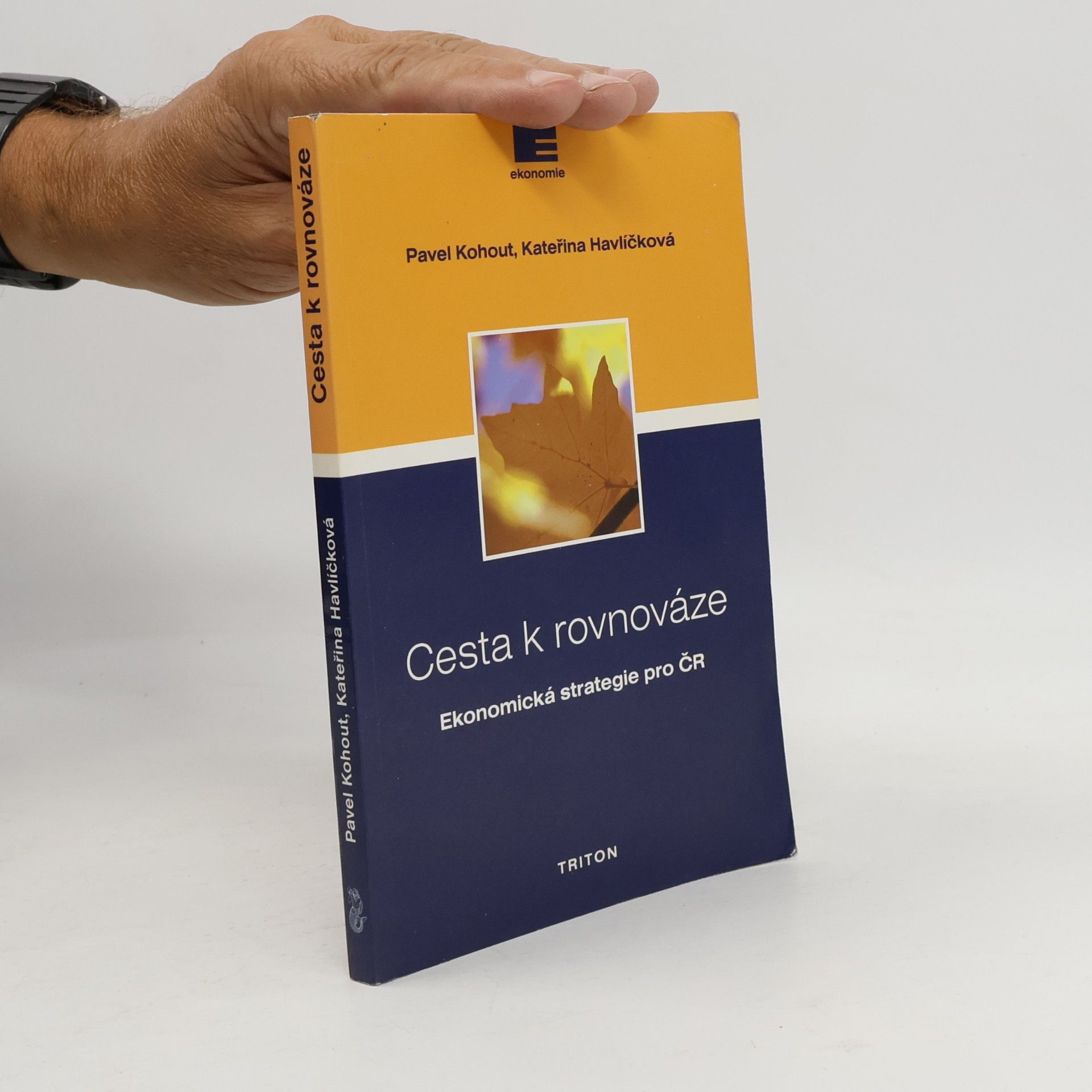 Cesta k rovnováze. ekonomická strategie pro Českou republiku