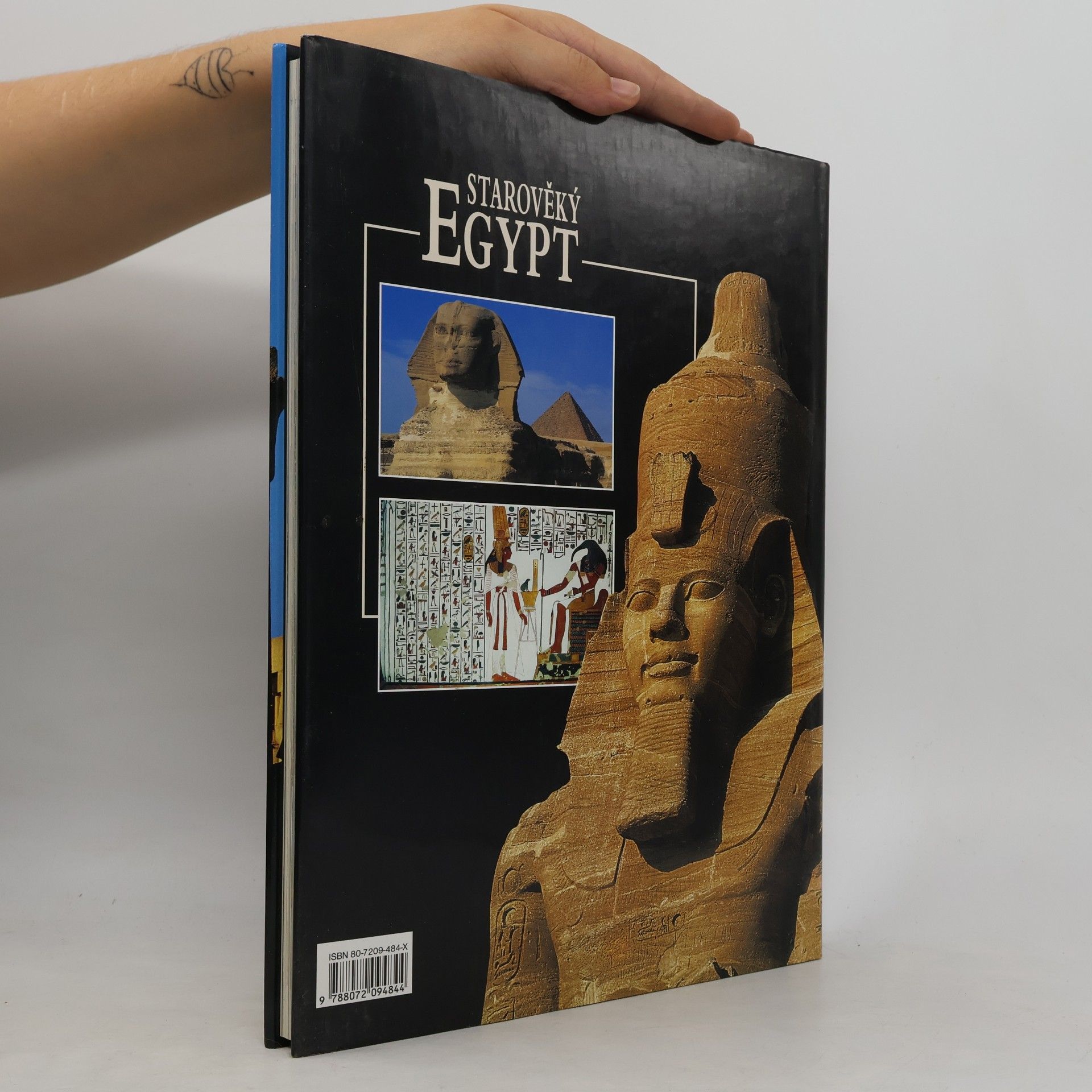 Giorgio Agnese Starověký Egypt: Archeologický průvodce zemí faraonů