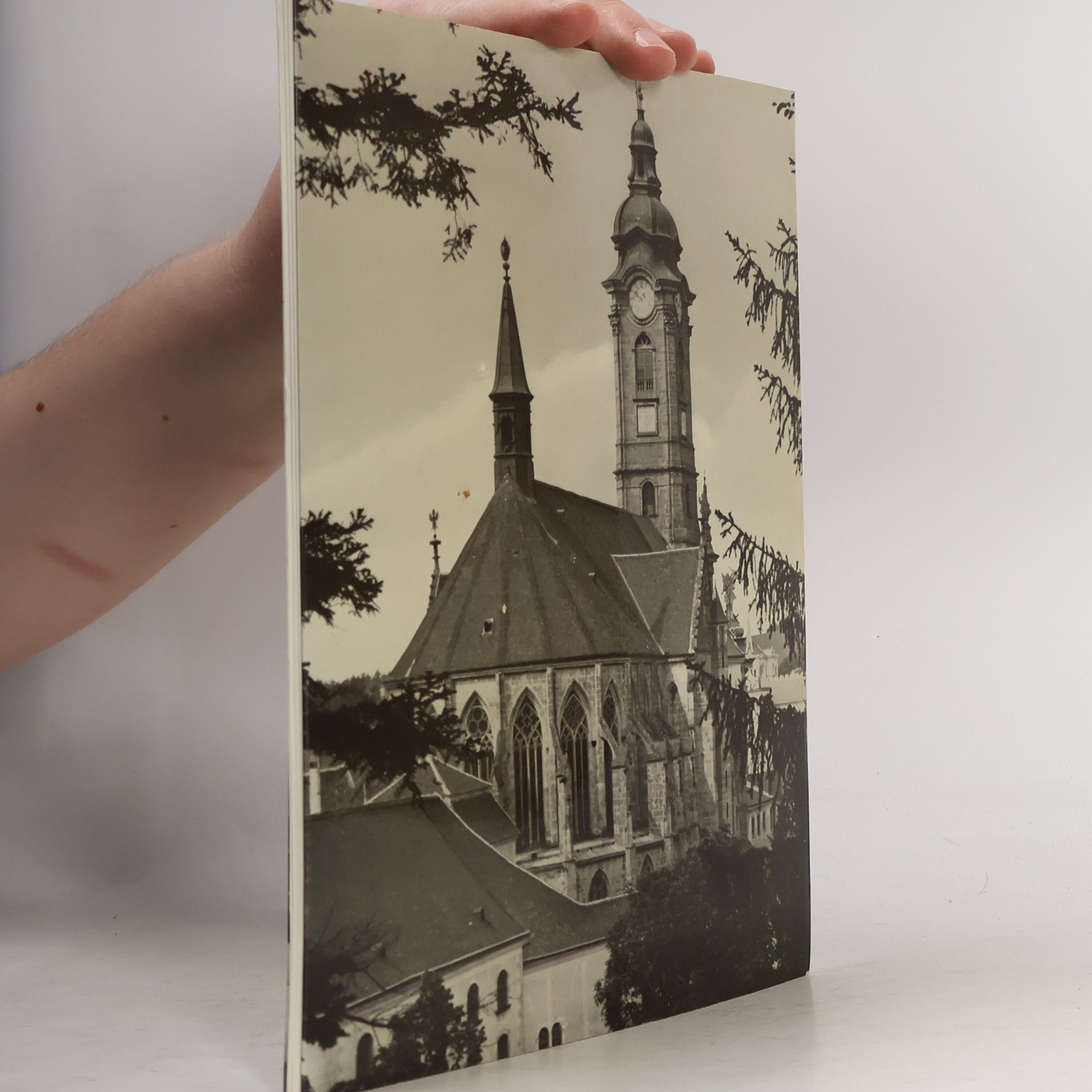 Hadmar Özelt Stift Zwettl
