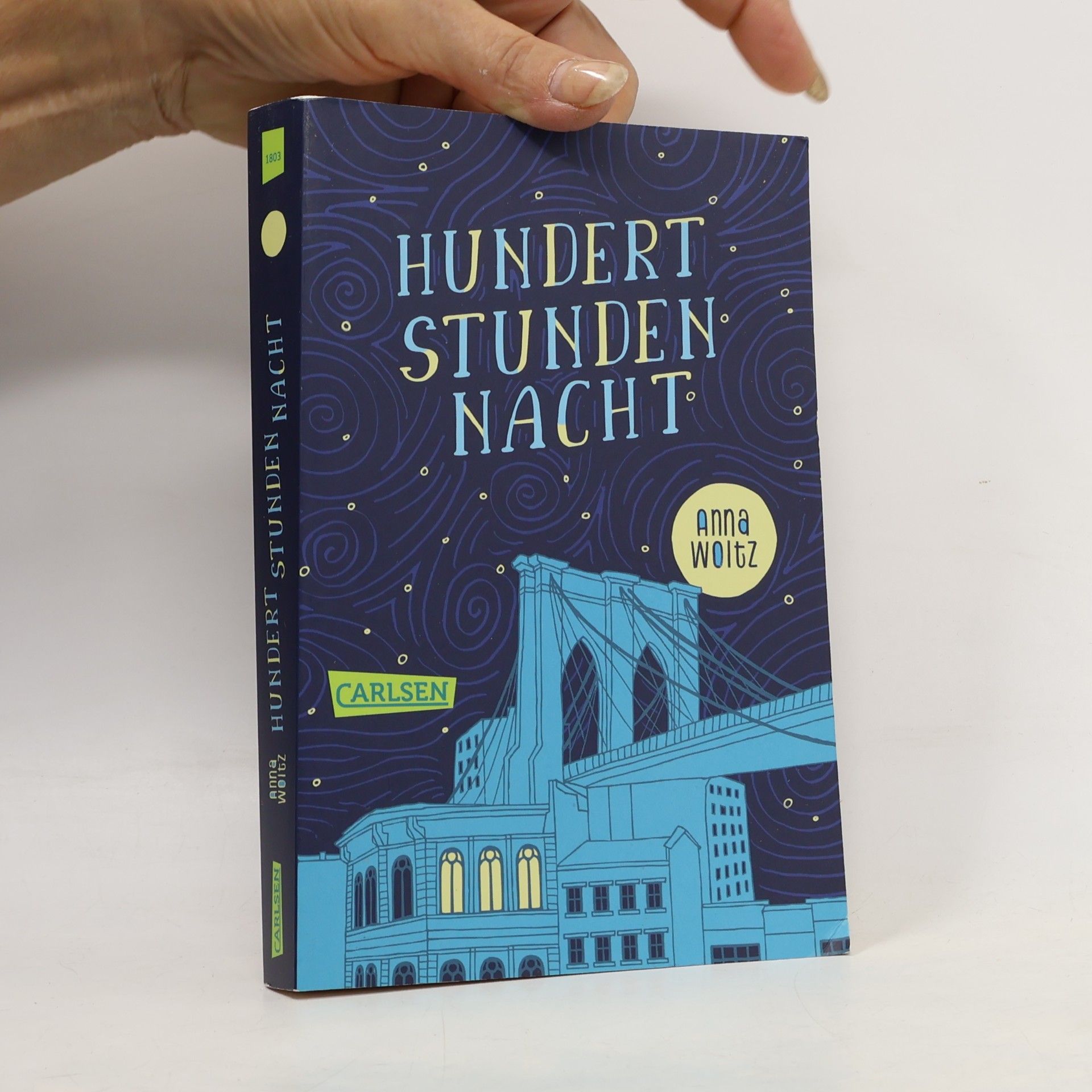 Anna Woltz Hundert Stunden Nacht