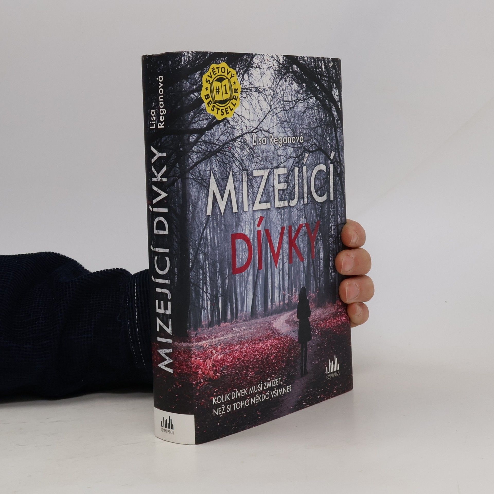 Mizející dívky