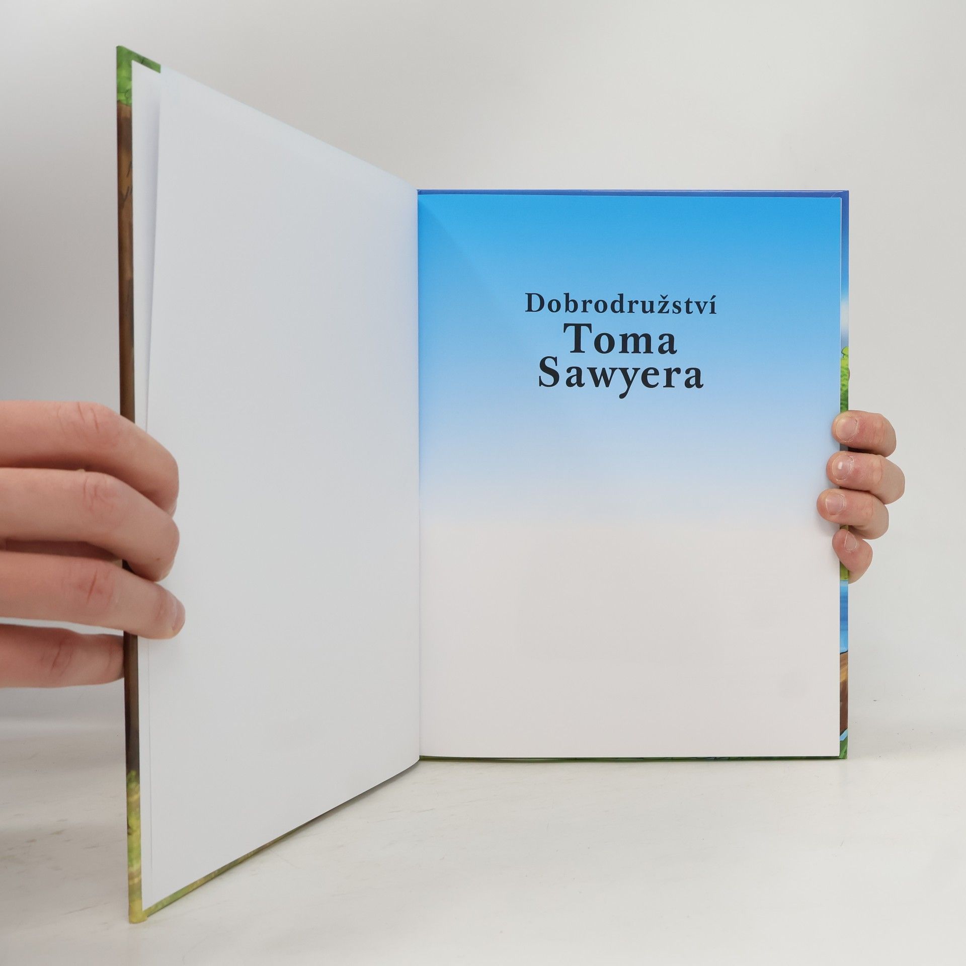 Mark Twain Dobrodružství Toma Sawyera