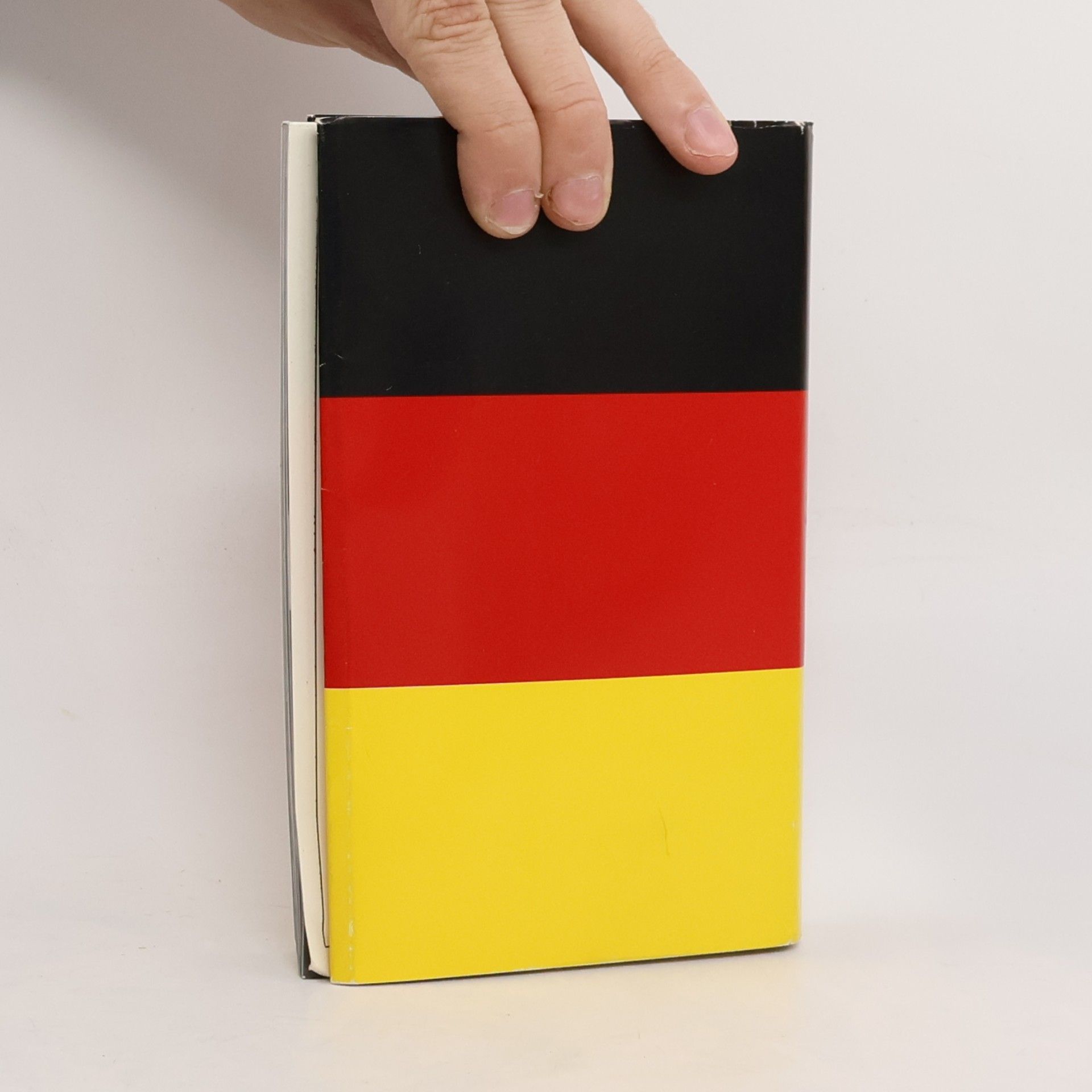 Thomas Brasch Rotter