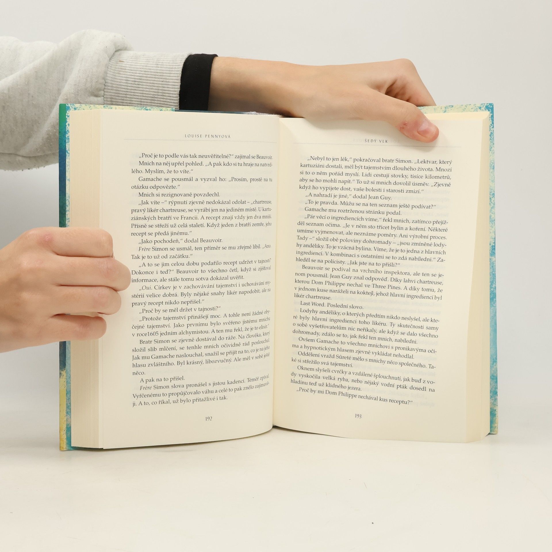 Louise Penny Šedý vlk