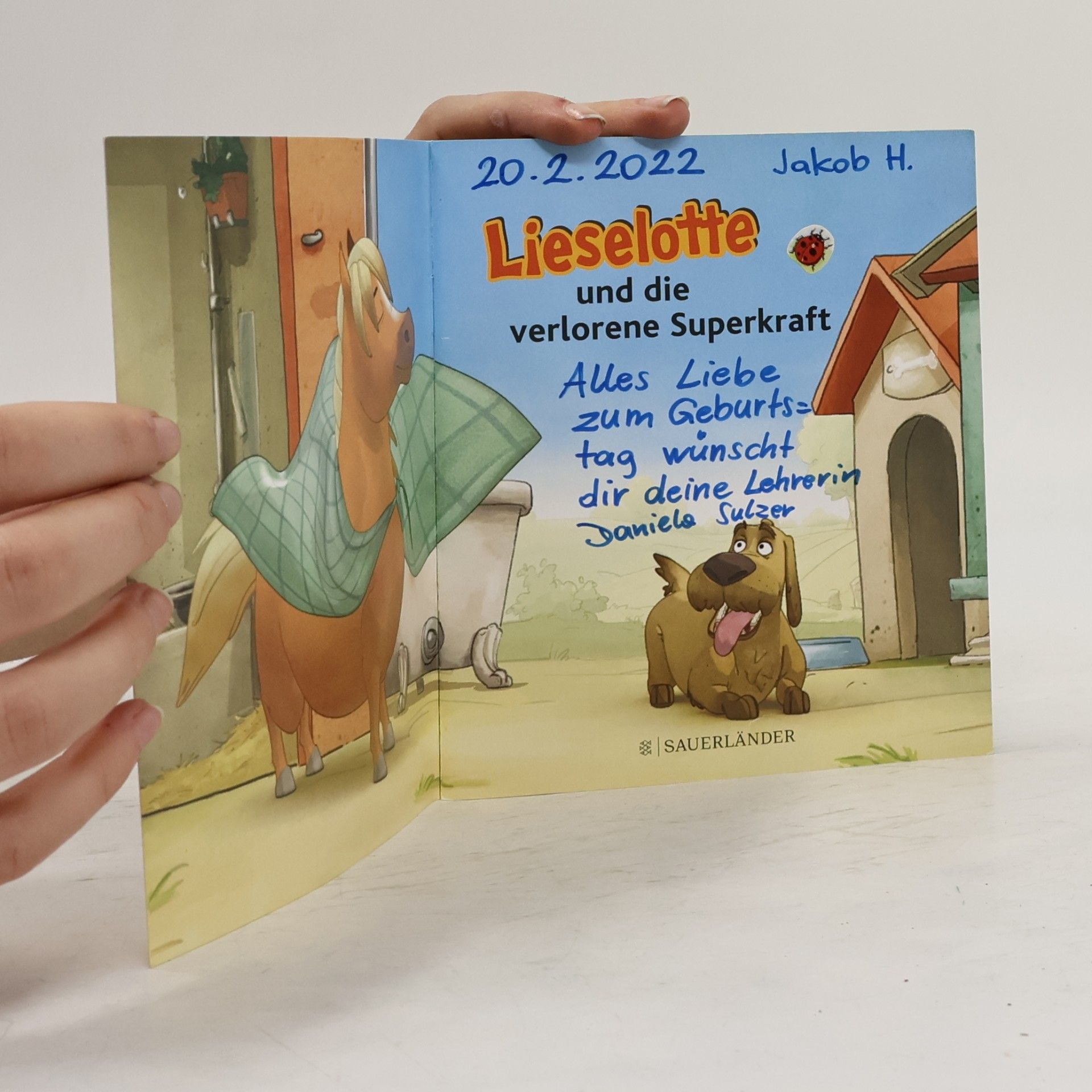Alexander Steffensmeier Lieselotte und die verlorene Superkraft