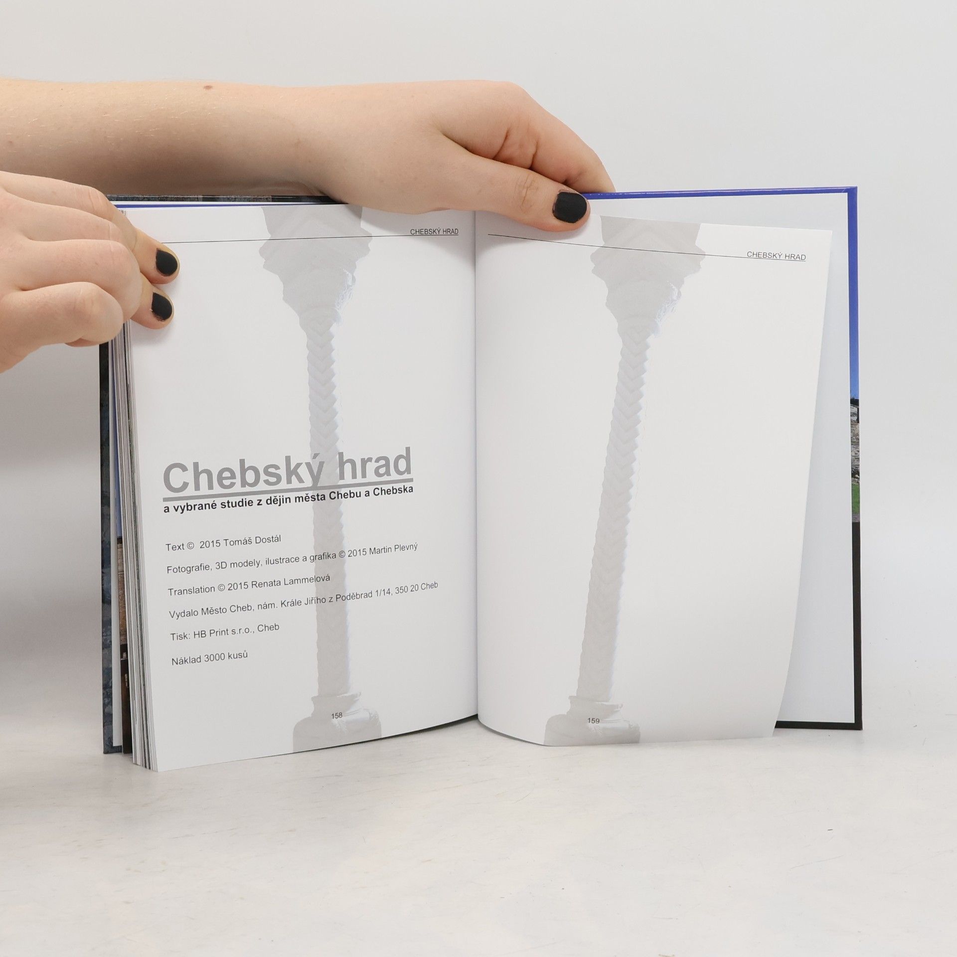 Kolektiv autorů Chebský hrad a vybrané studie z dějin města Chebu a Chebska