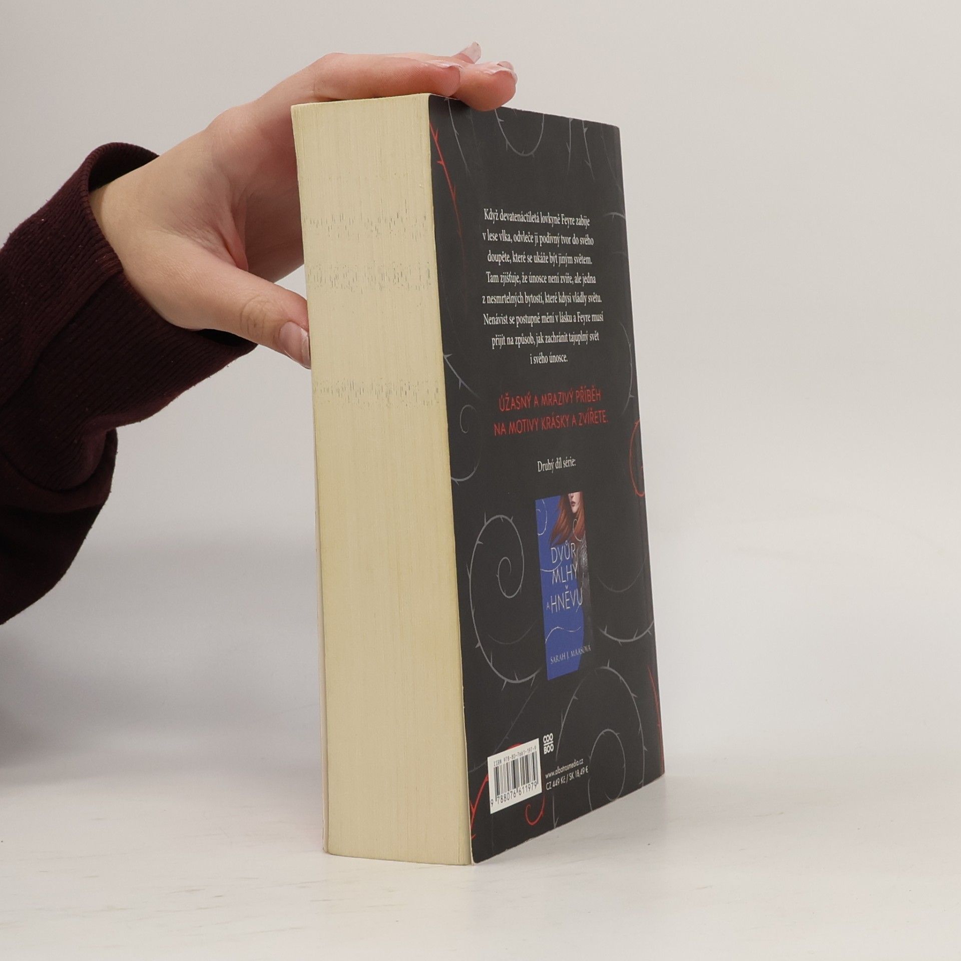 Sarah J. Maas Dvůr trnů a růží
