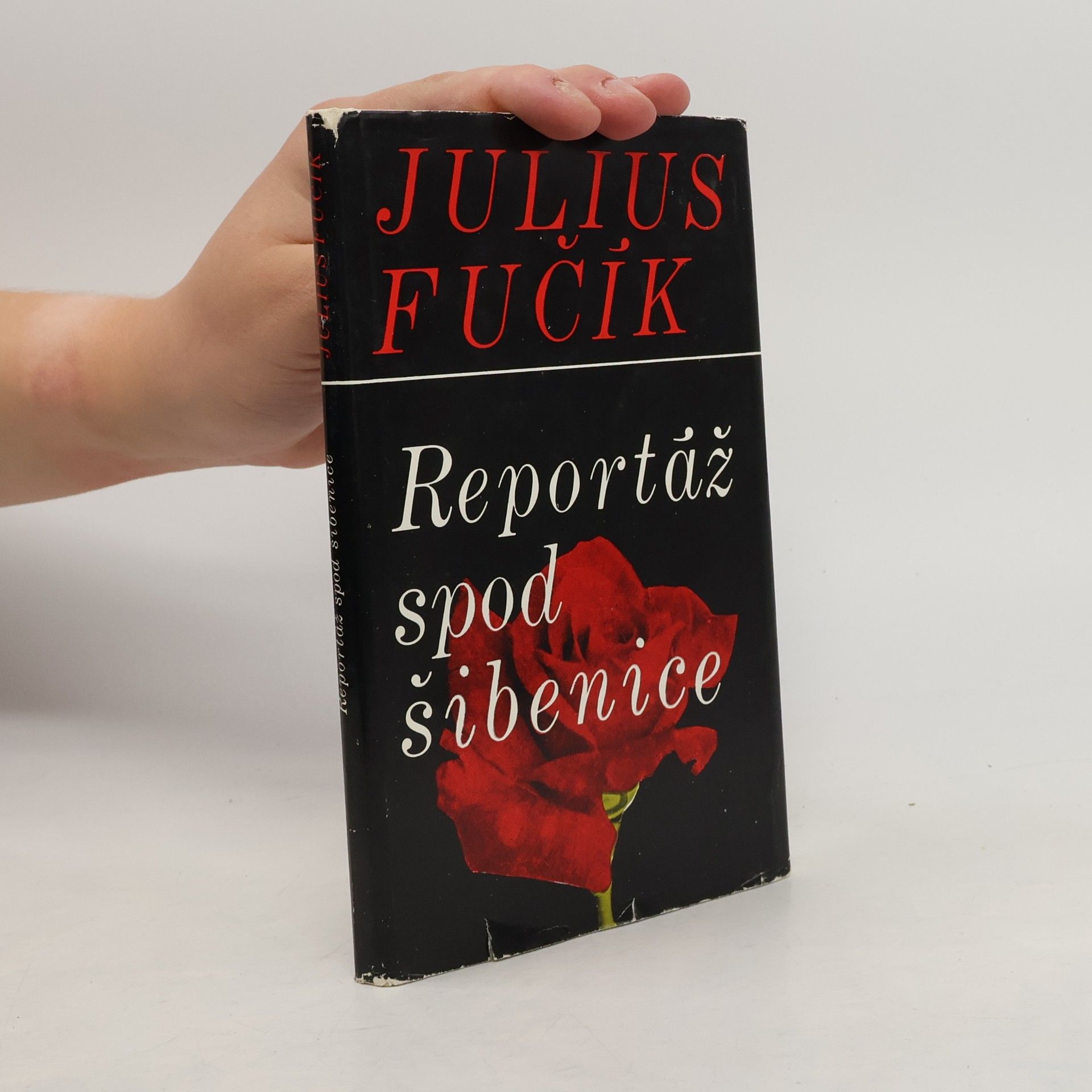 Reportáž spod šibenice