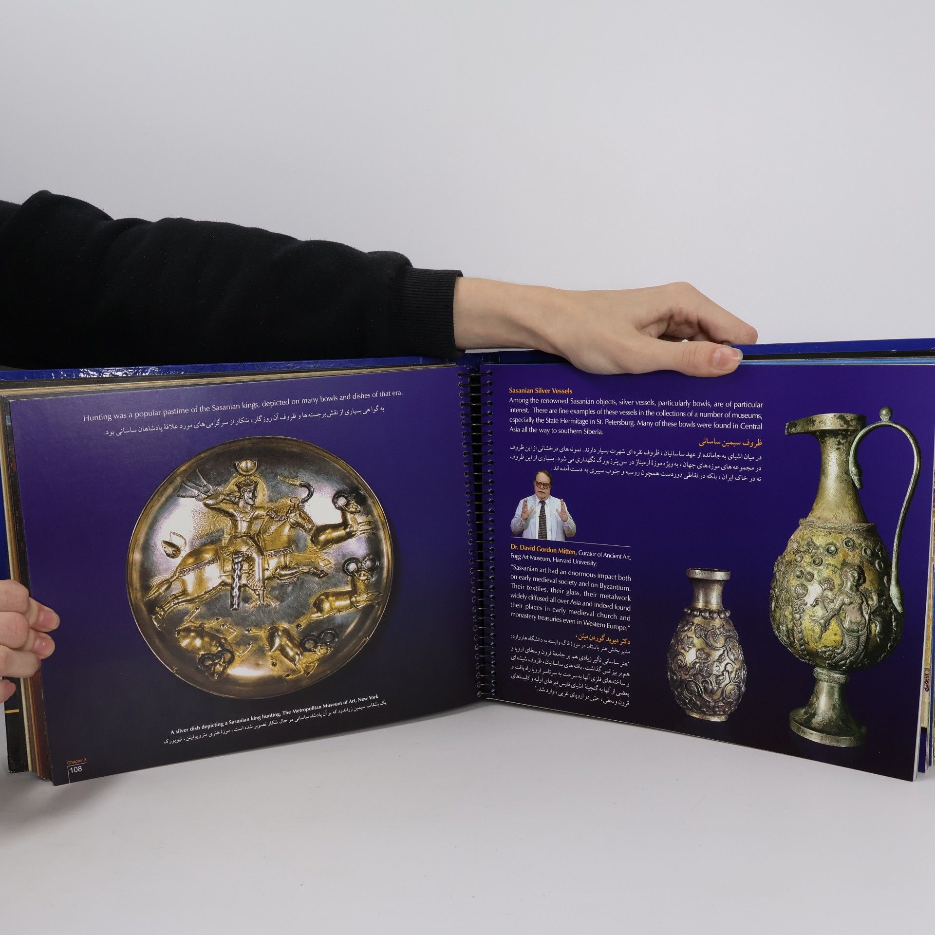 فرزین رضائیان Iran