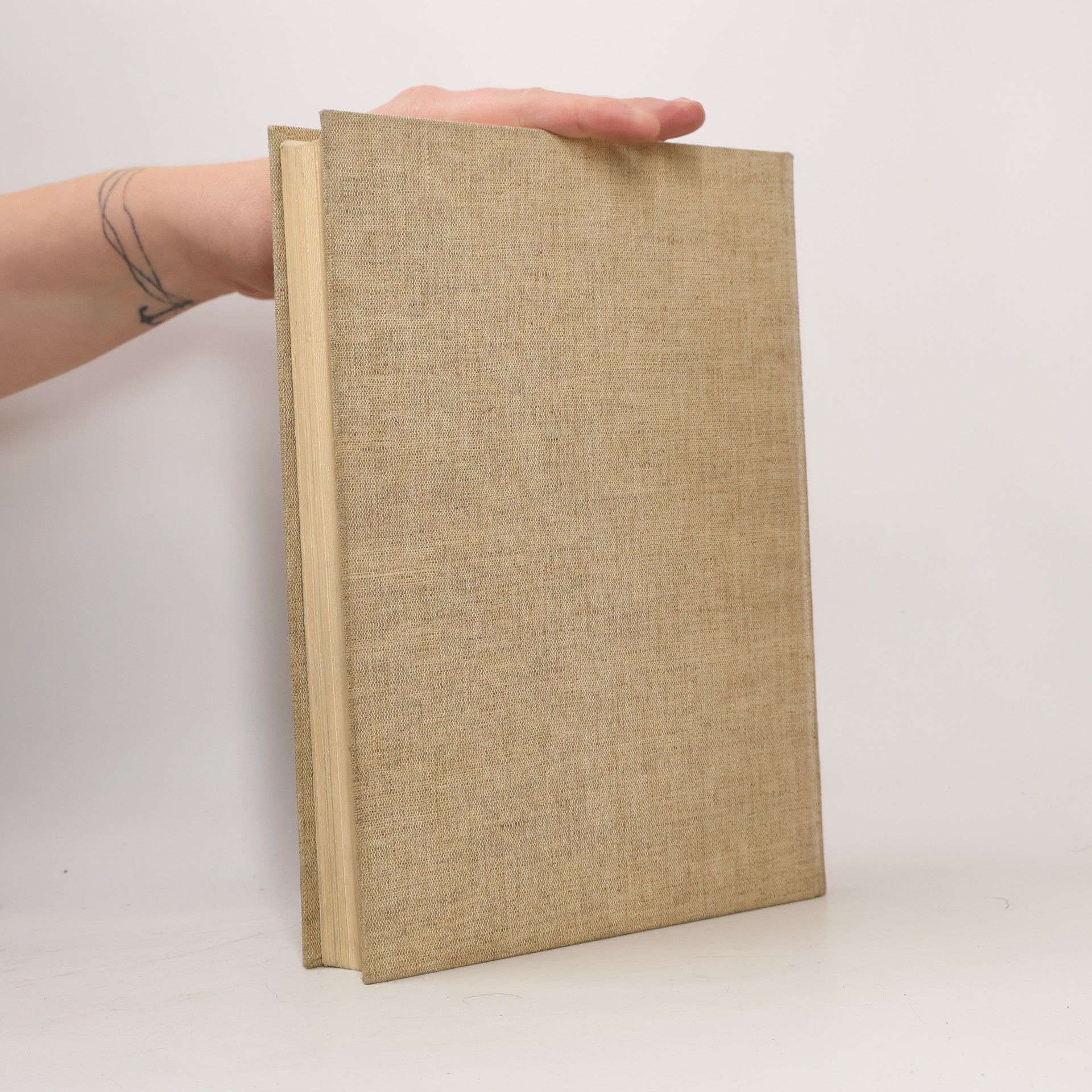 Various authors Hundert Jahre Wiener Stadtbauamt 1835-1935