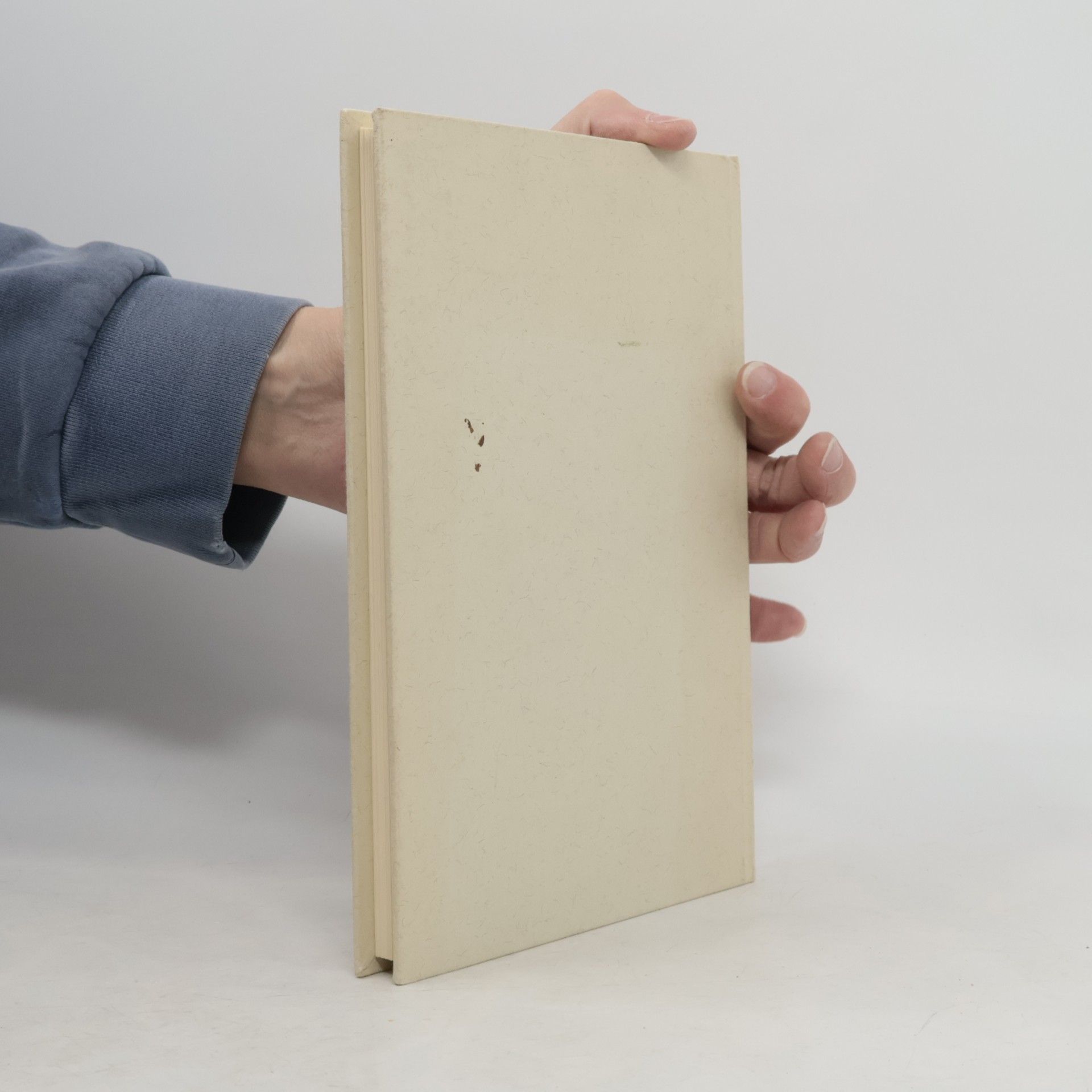 Rolf Wallrath Das schöne gedruckte Buch im ersten Jahrhundert nach Gutenberg