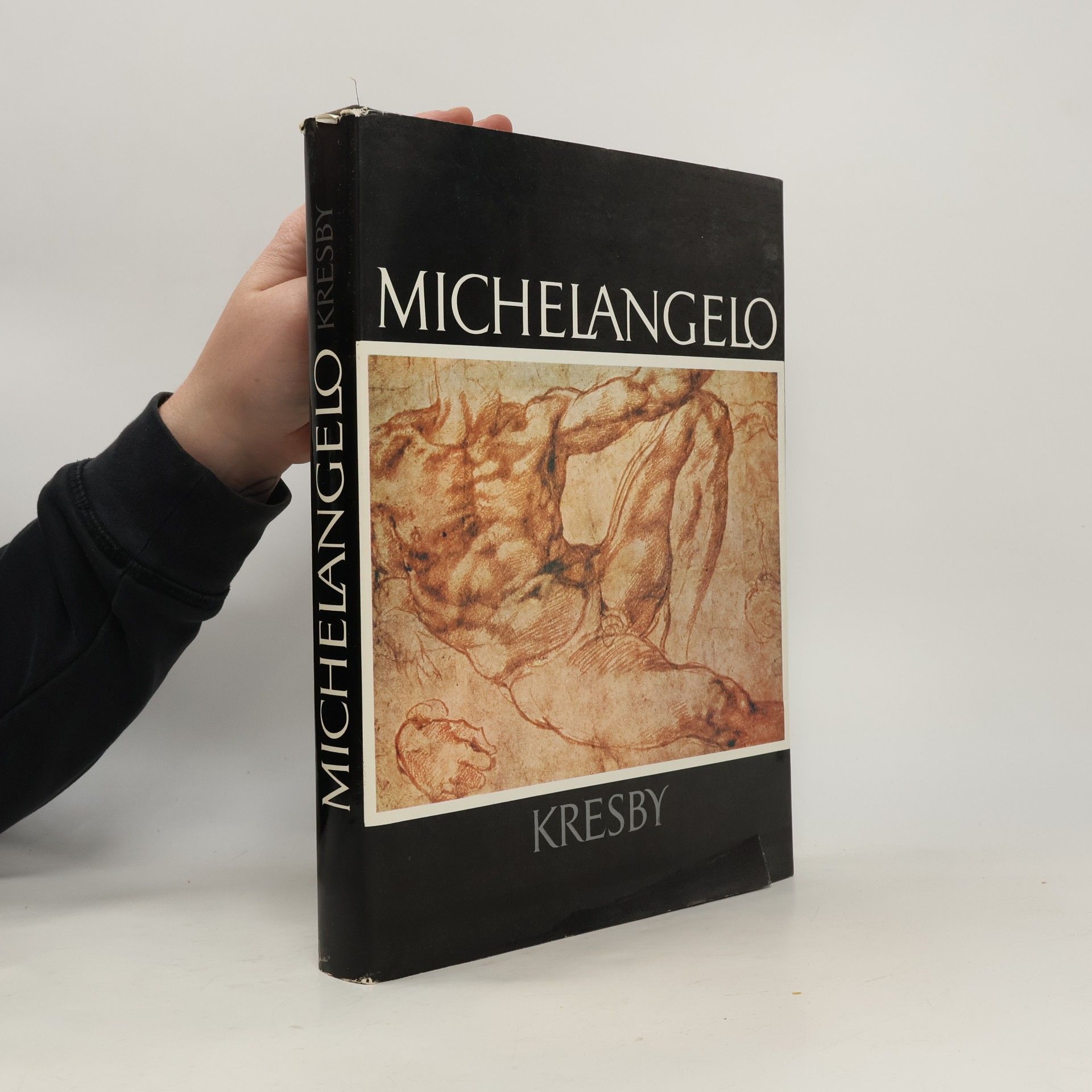 Michelangelo. Kresby
