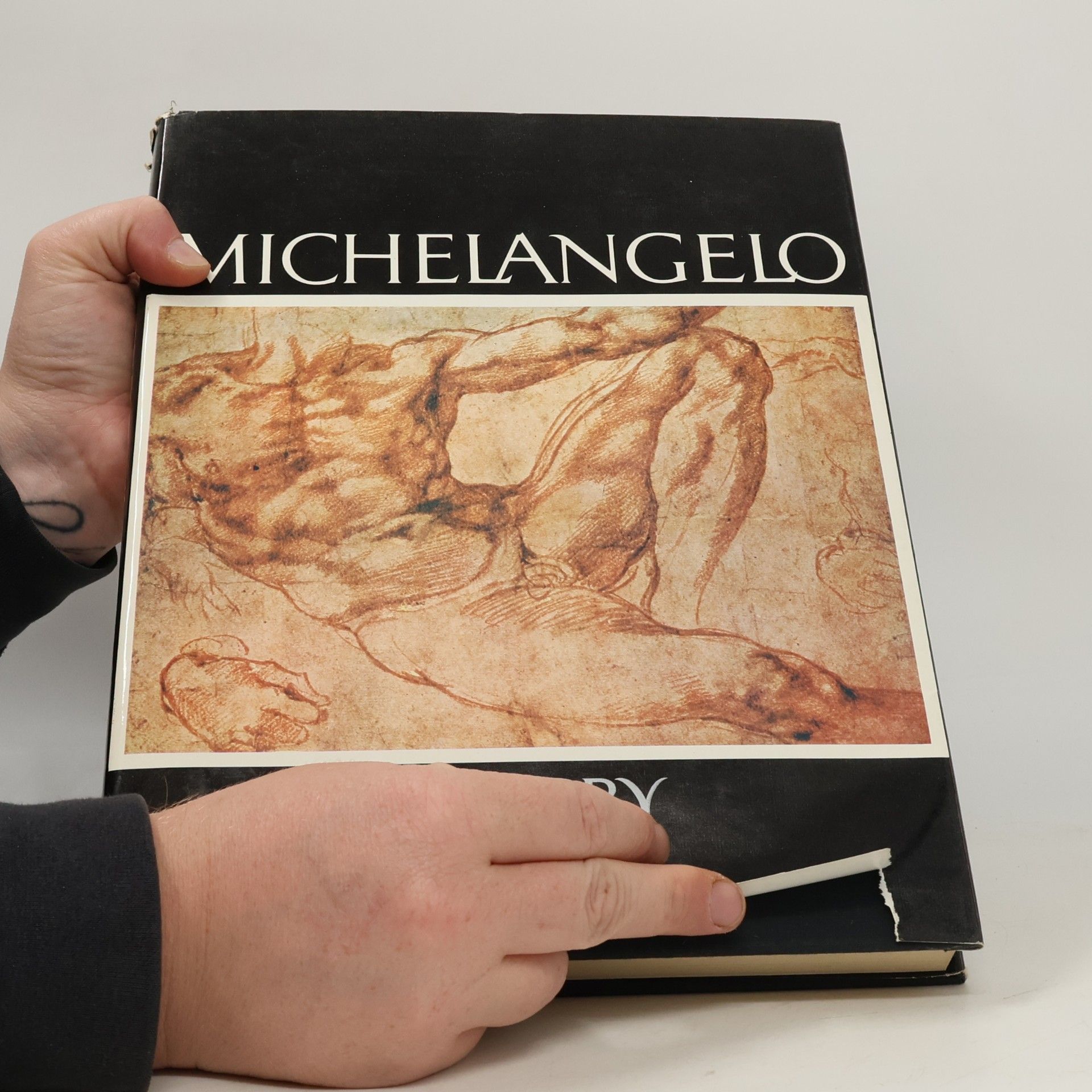 Pavel Preiss Michelangelo. Kresby