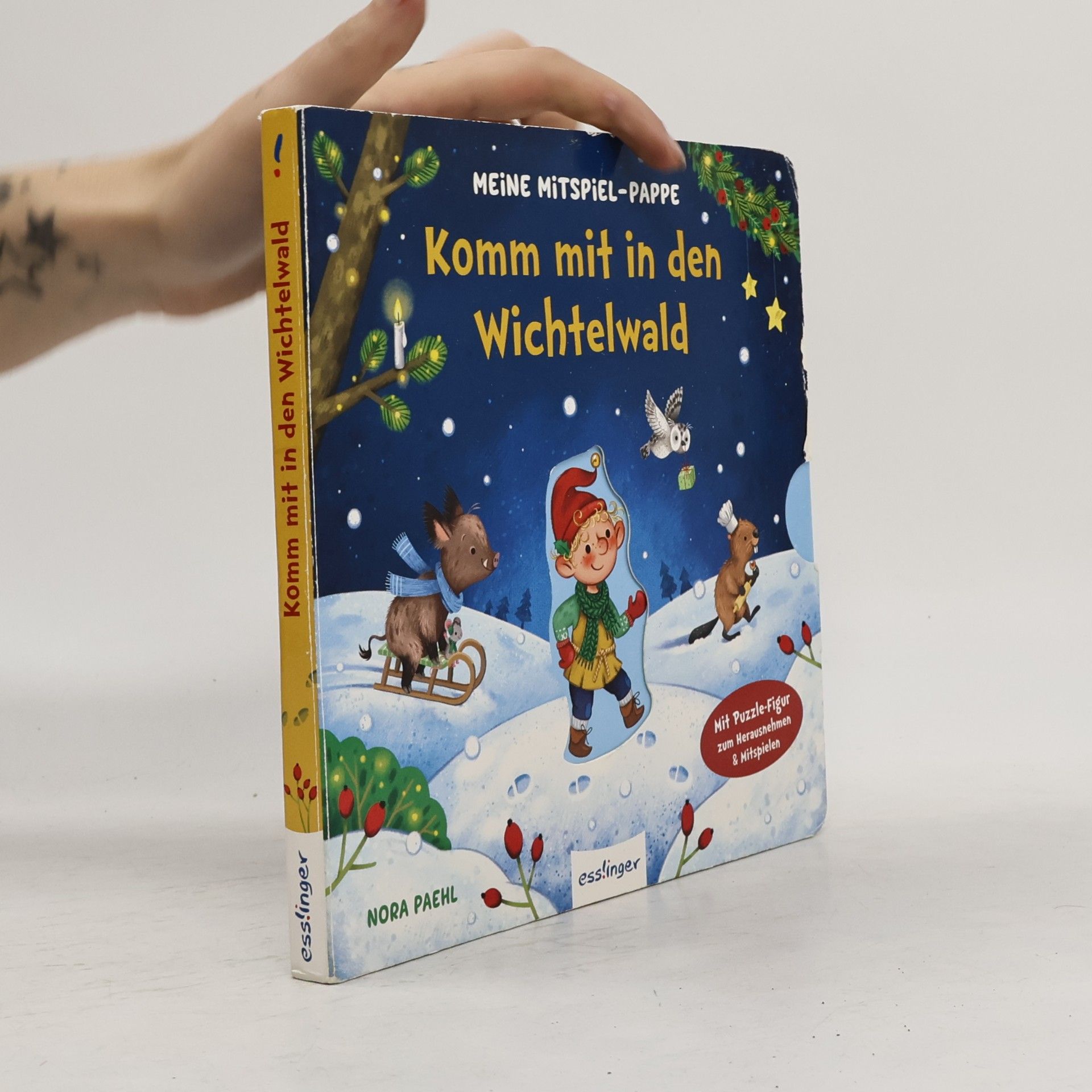Meine Mitspiel-Pappe: Komm mit in den Wichtelwald