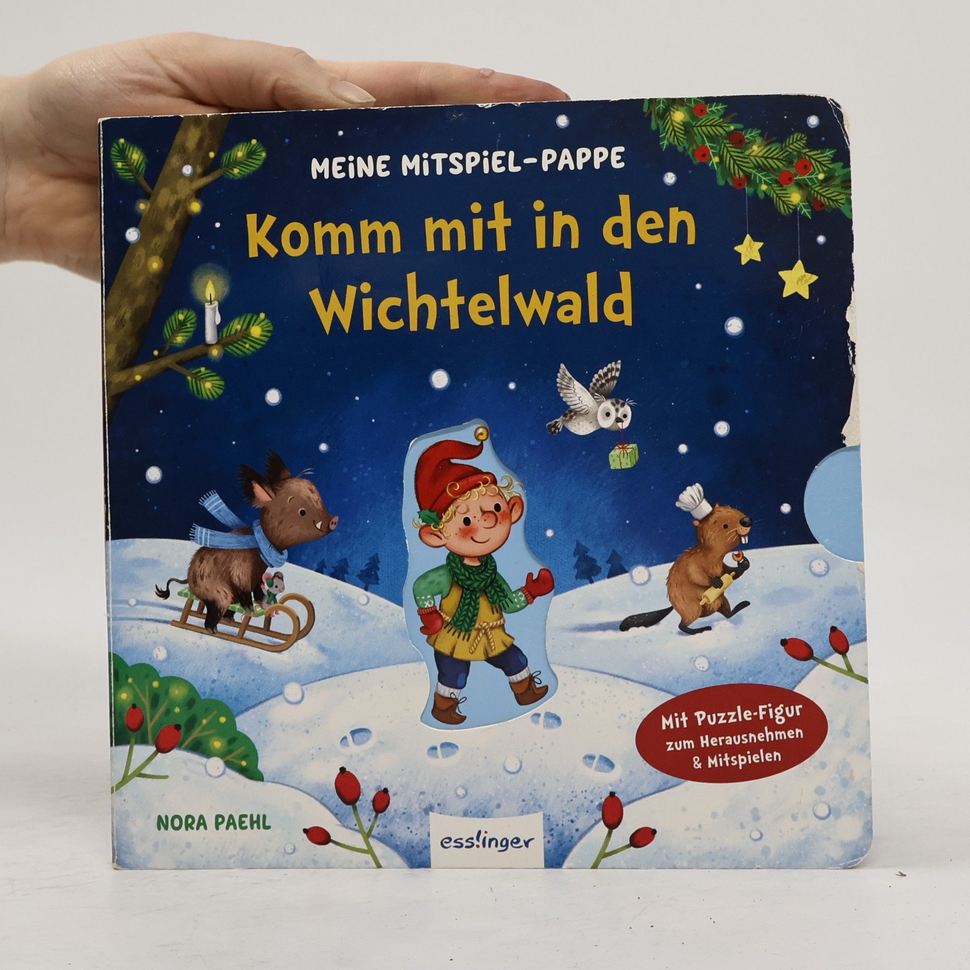 Nora Paehl Meine Mitspiel-Pappe: Komm mit in den Wichtelwald
