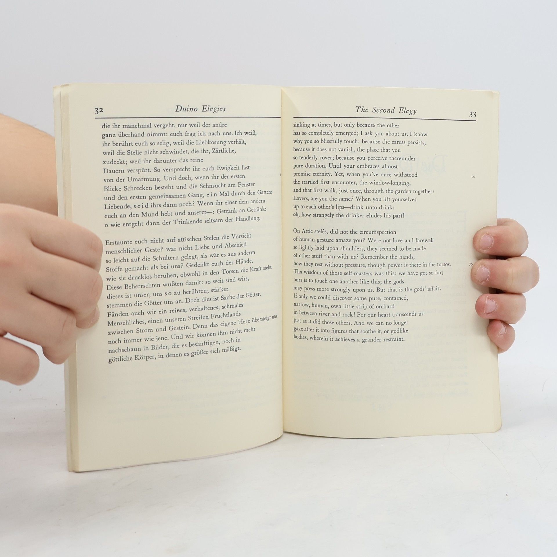 Rainer Maria Rilke Duino Elegies