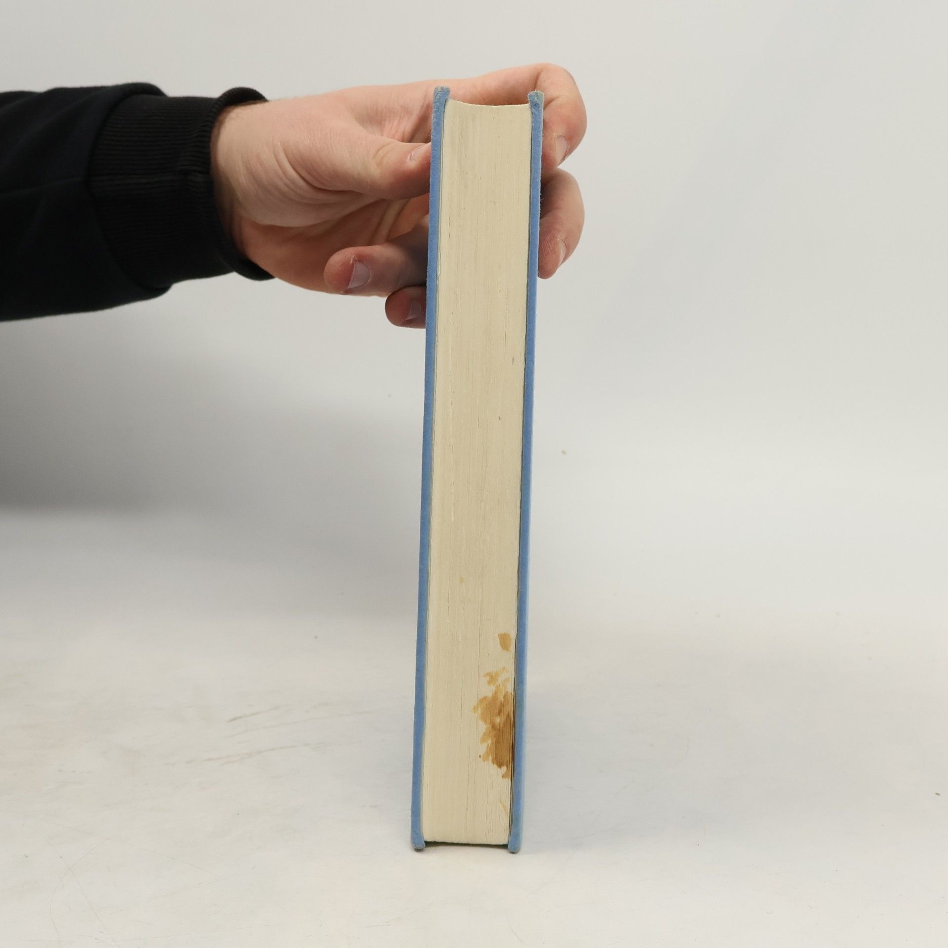 Walter Hansen Das große Pfadfinderbuch