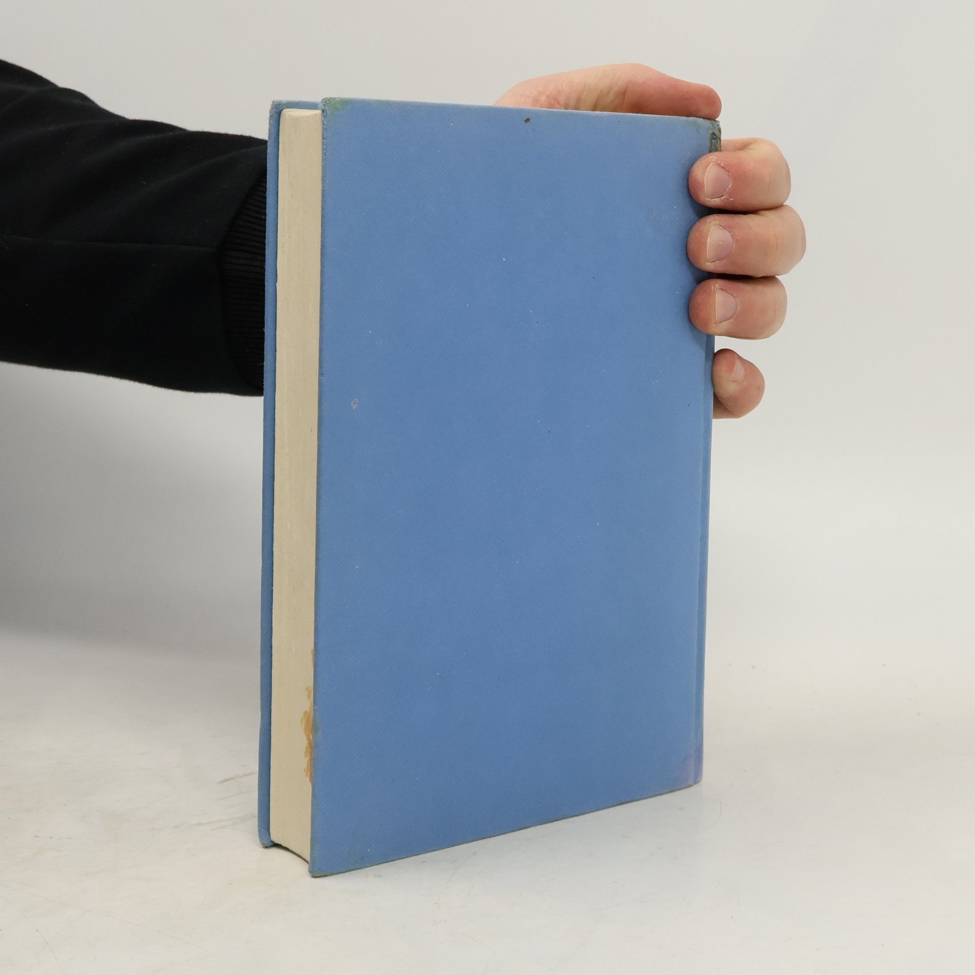 Walter Hansen Das große Pfadfinderbuch