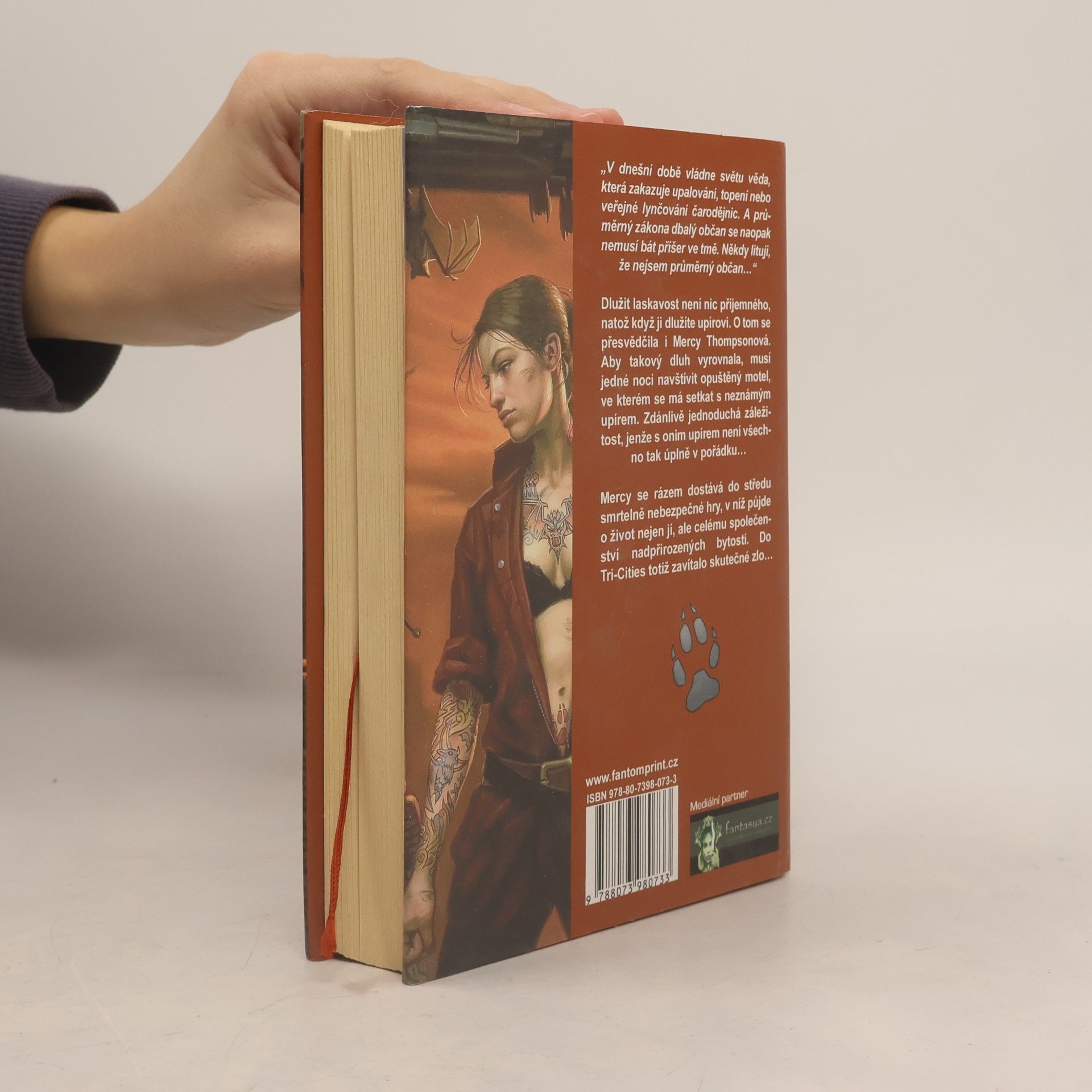 Patricia Briggs Krevní pouto