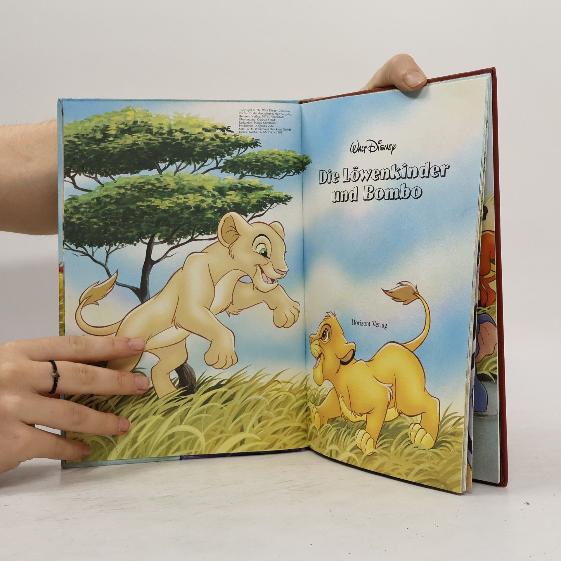 Autorenkollektiv Die Löwenkinder und Bombo