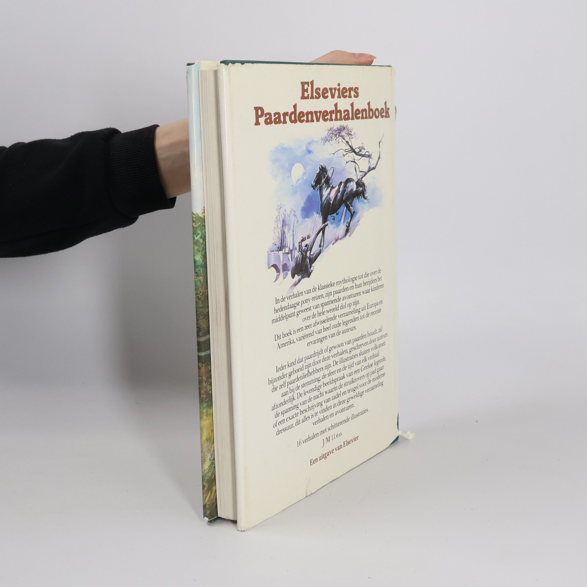 Dorothy Baldock Elseviers paardenverhalenboek
