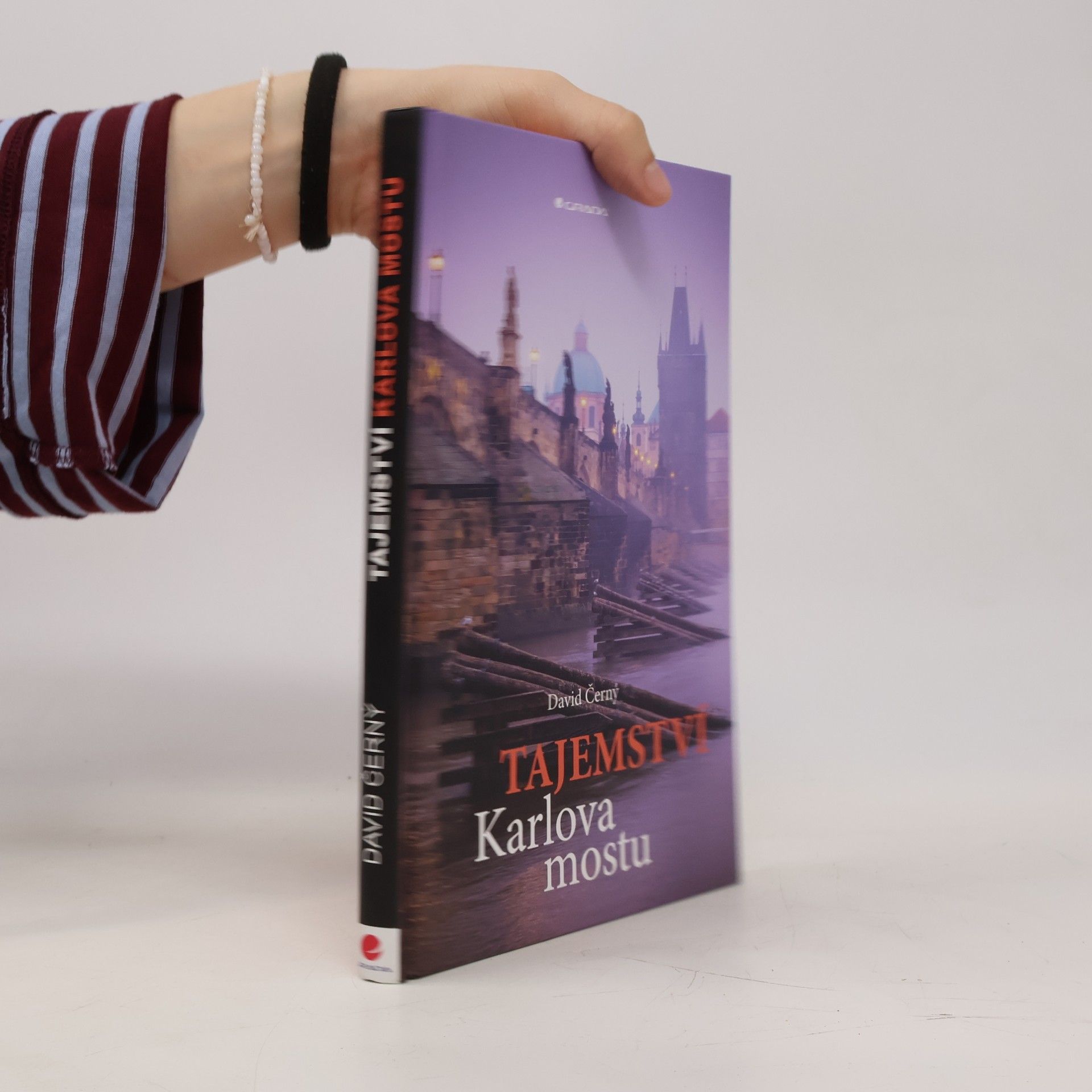 David Černý Tajemství Karlova mostu