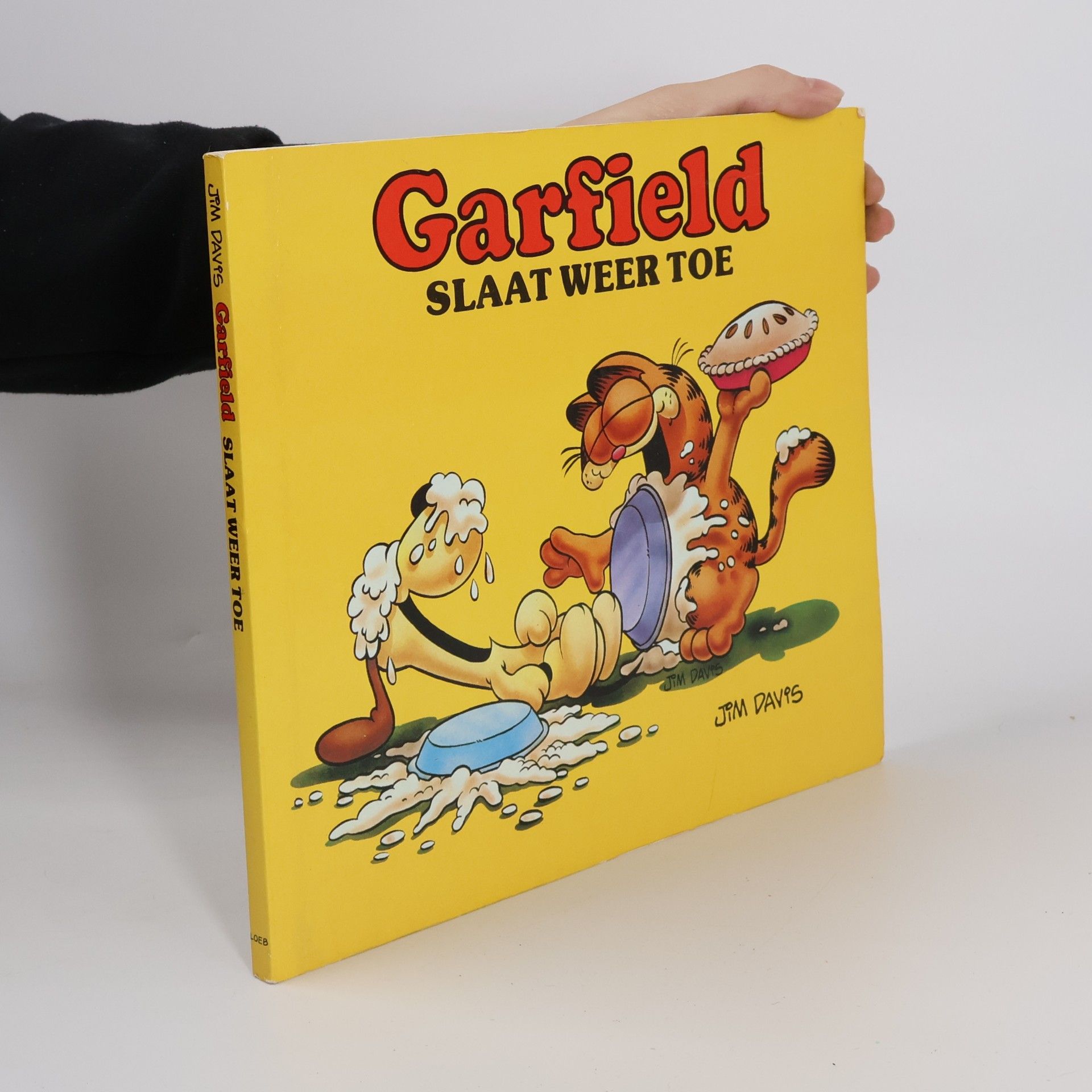 Jim Davis Grote Garfields - 2: Garfield slaat weer toe