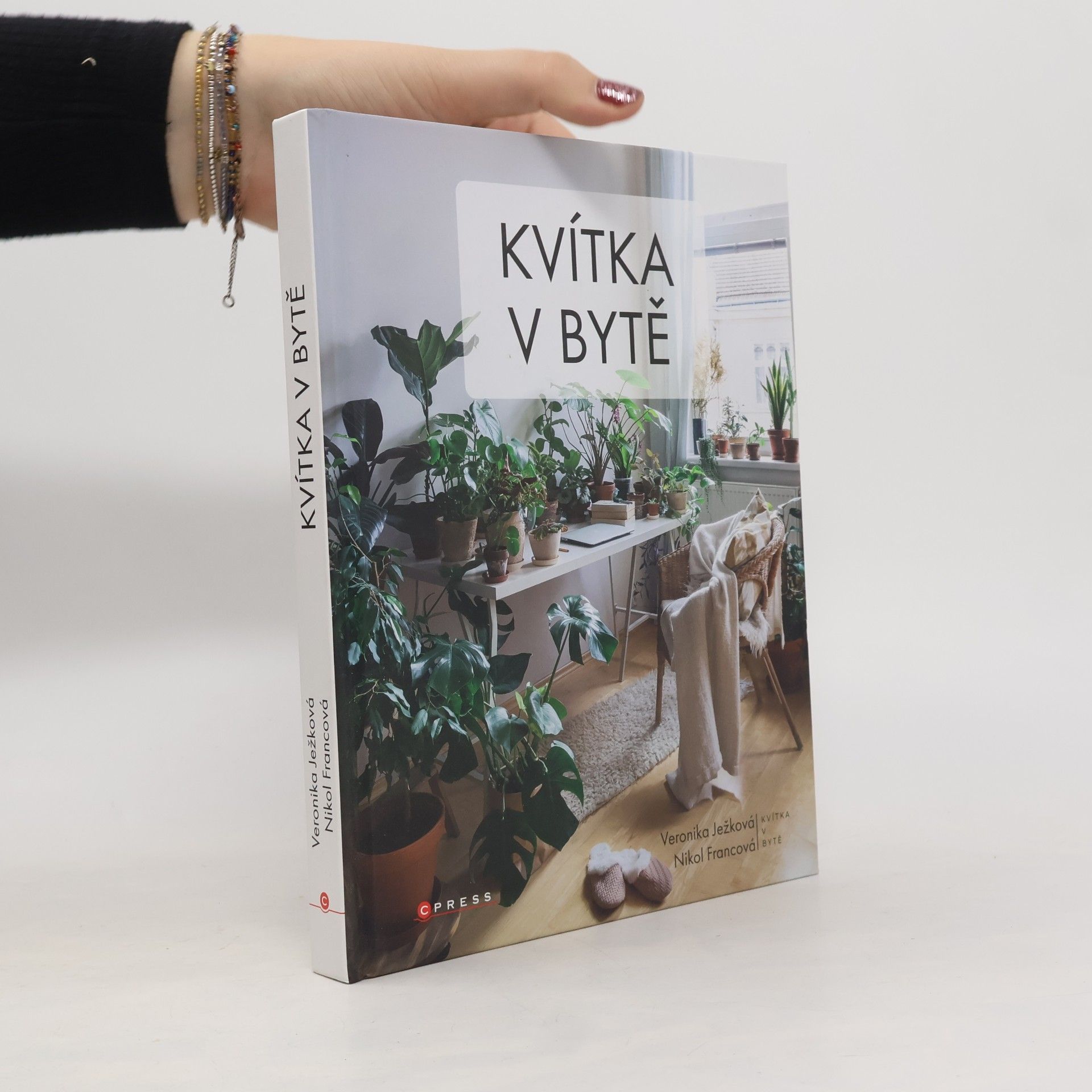 Kvítka v bytě