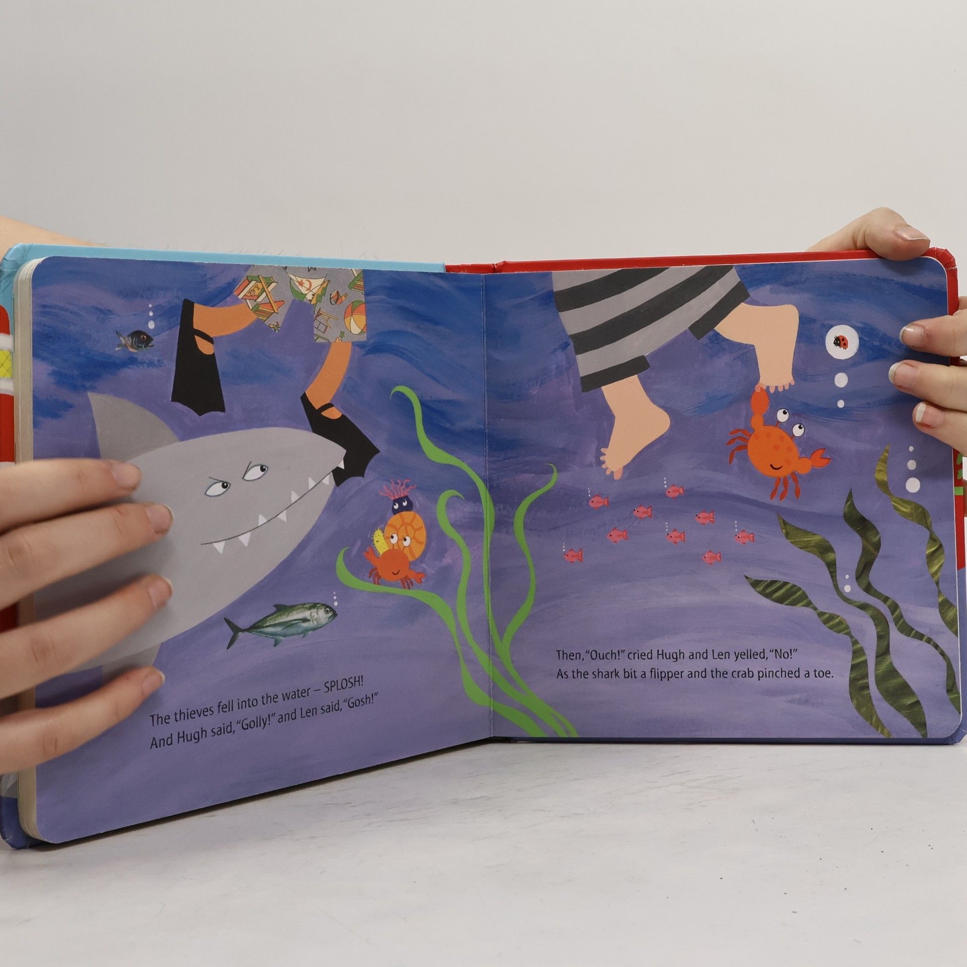 Julia Donaldson What the Ladybird Heard at the Seaside