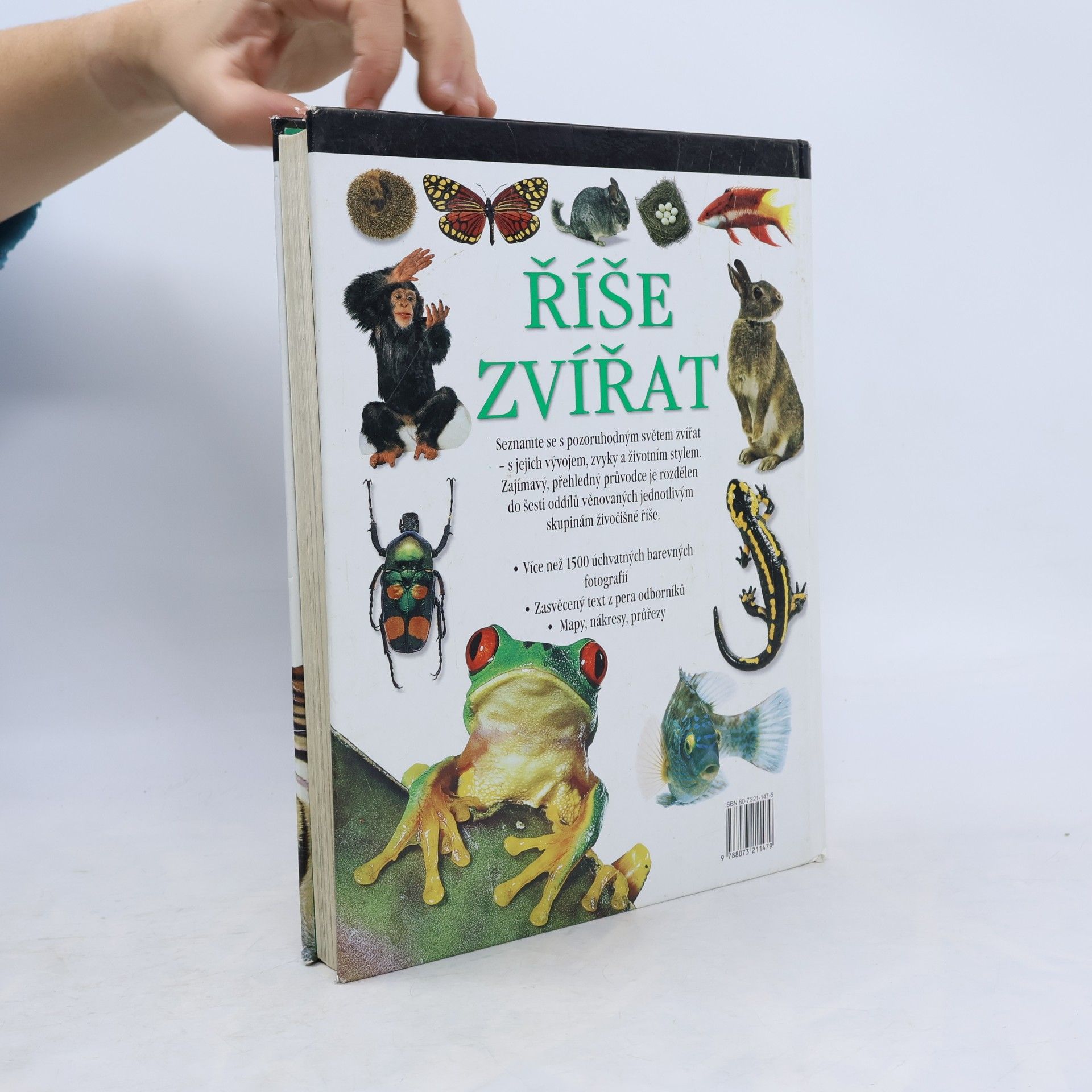 Autorenkollektiv Říše zvířat