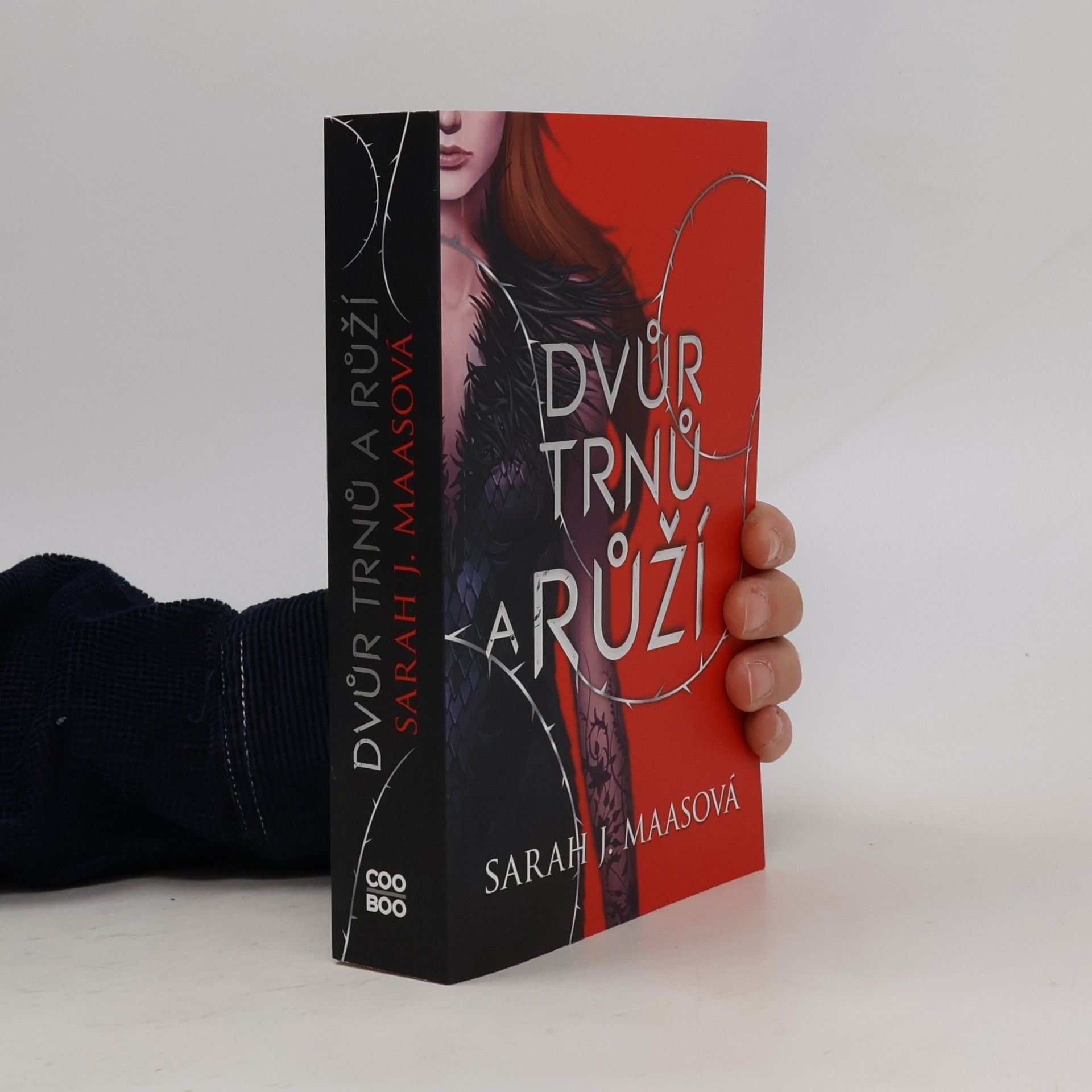 Dvůr trnů a růží