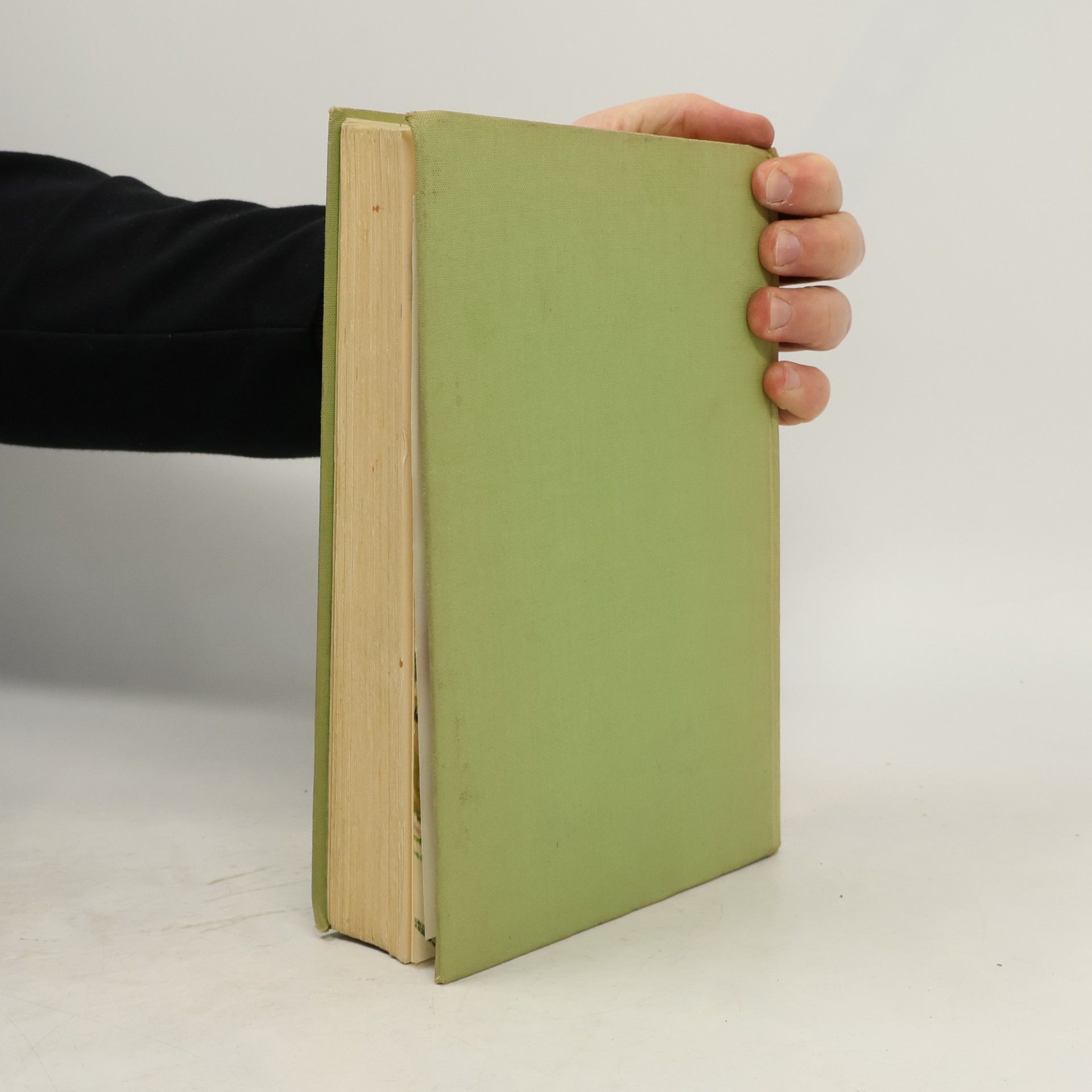 Janusz Grabiański Das große Buch der Tiermärchen
