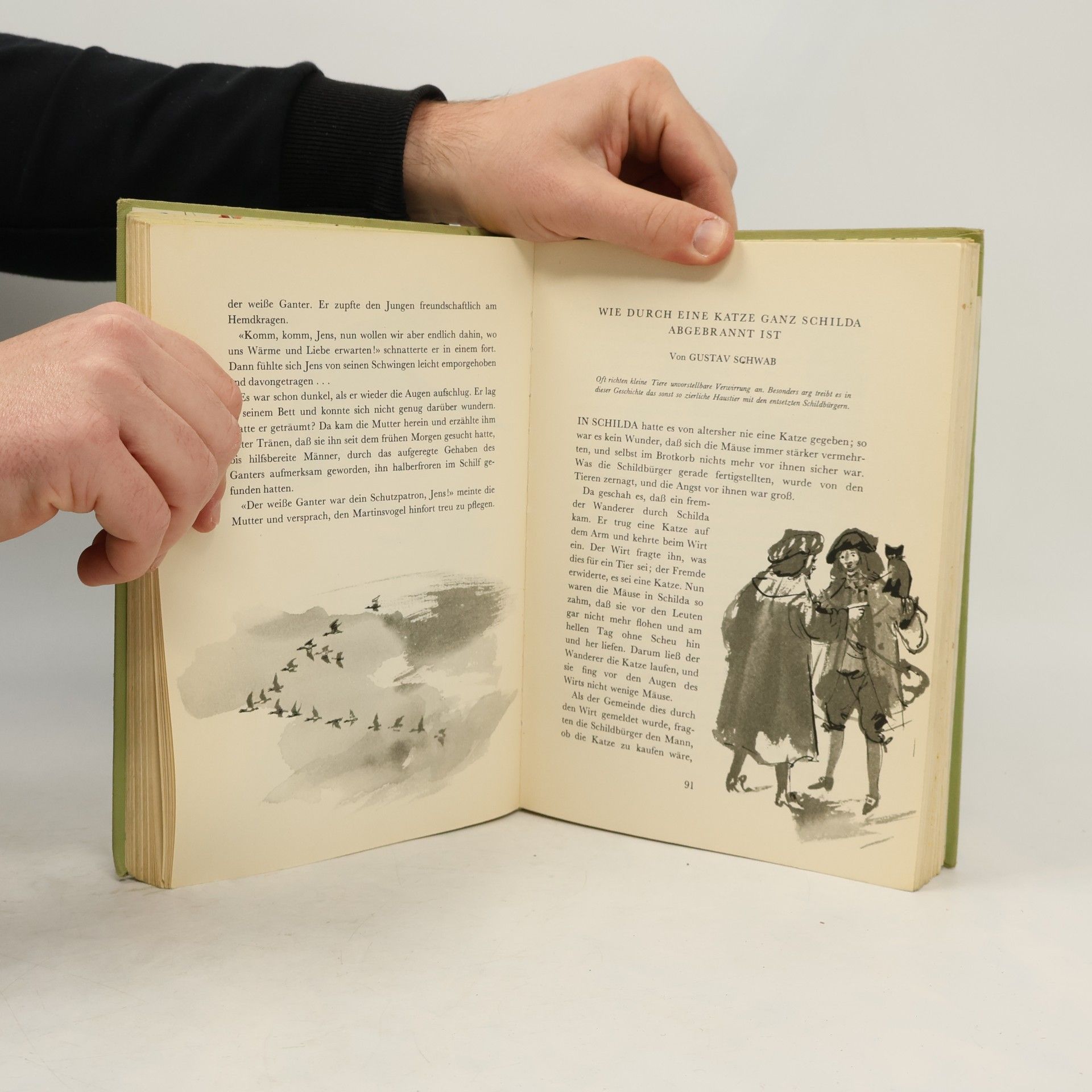 Janusz Grabiański Das große Buch der Tiermärchen