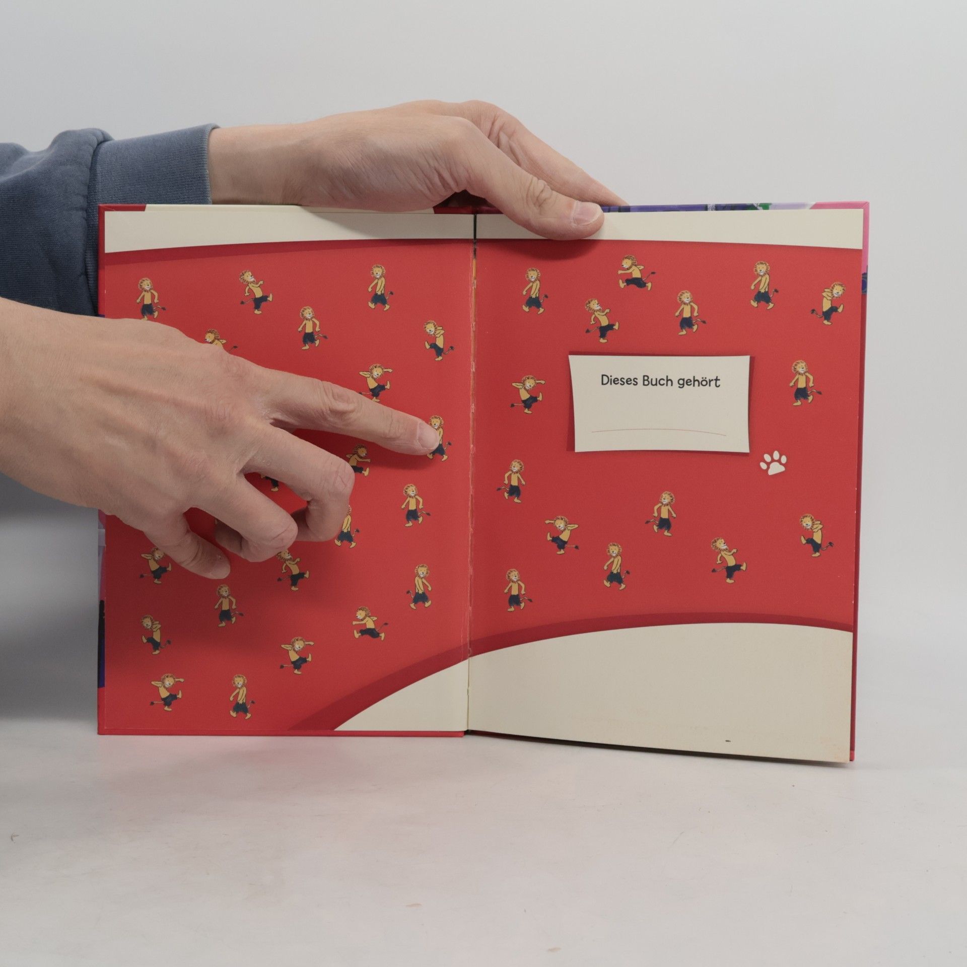 Maja von Vogel Leselöwen 1. Klasse - Willkommen im Spukschloss! (Großbuchstabenausgabe)