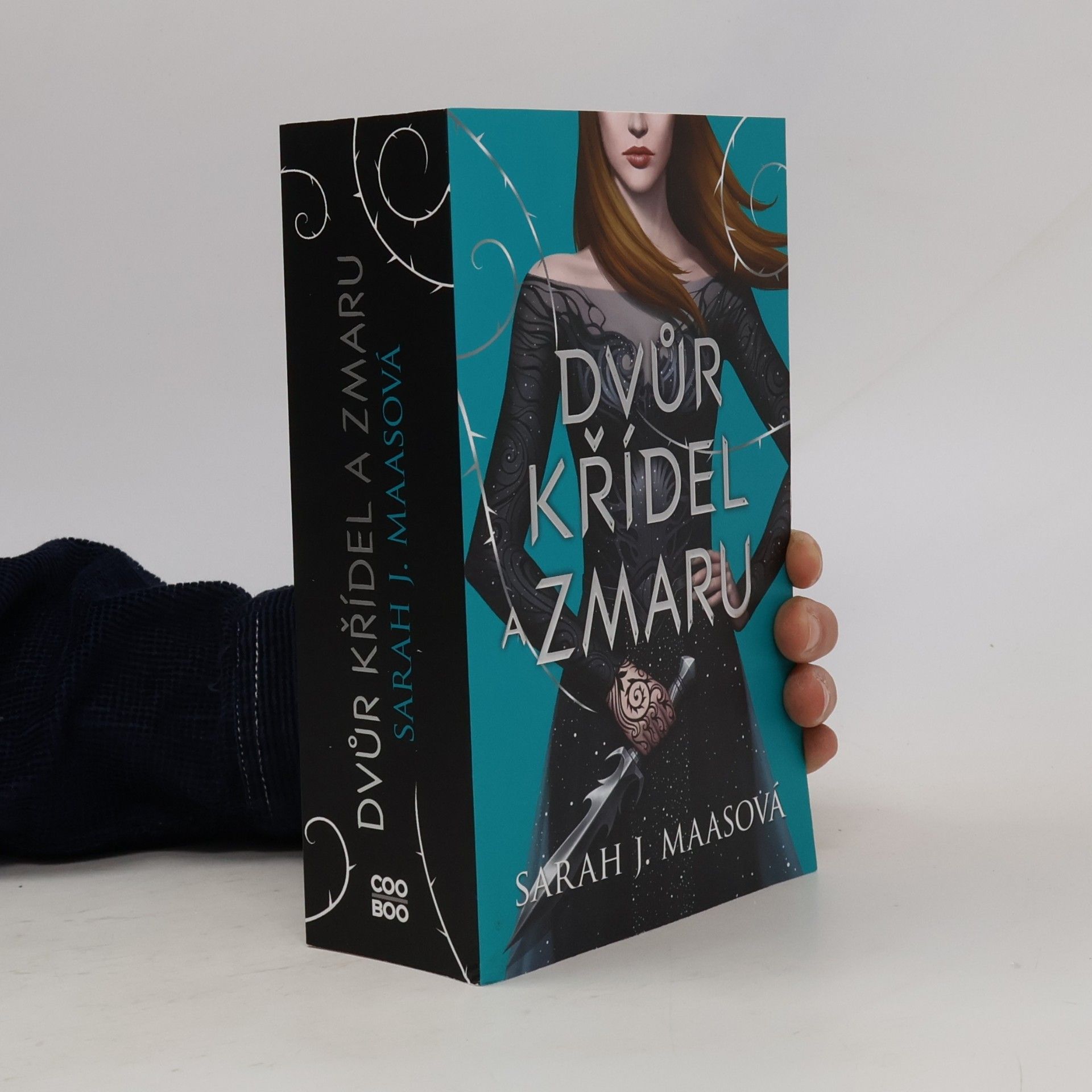 Ivana Svobodová Dvůr křídel a zmaru