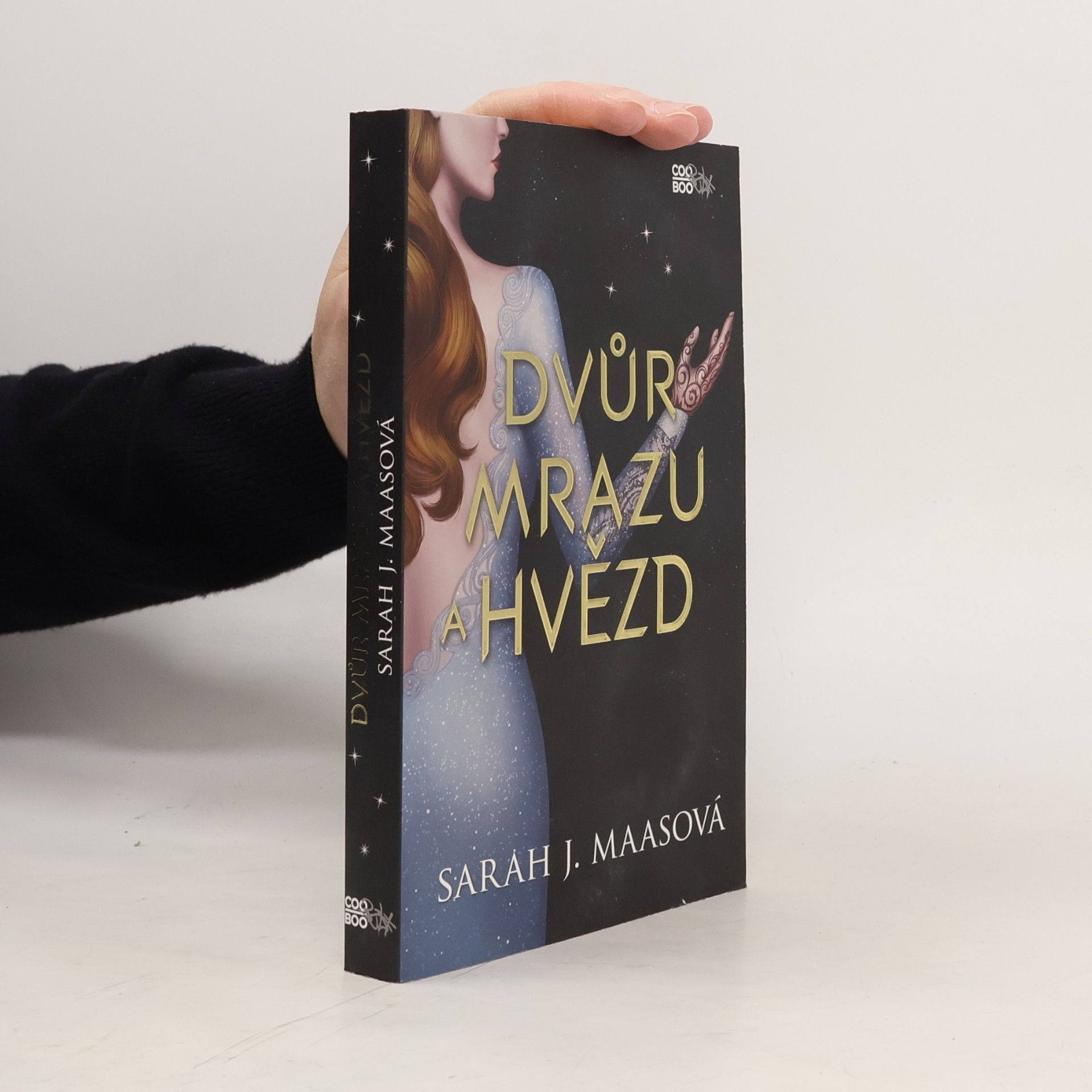 Sarah J. Maas Dvůr mrazu a hvězd