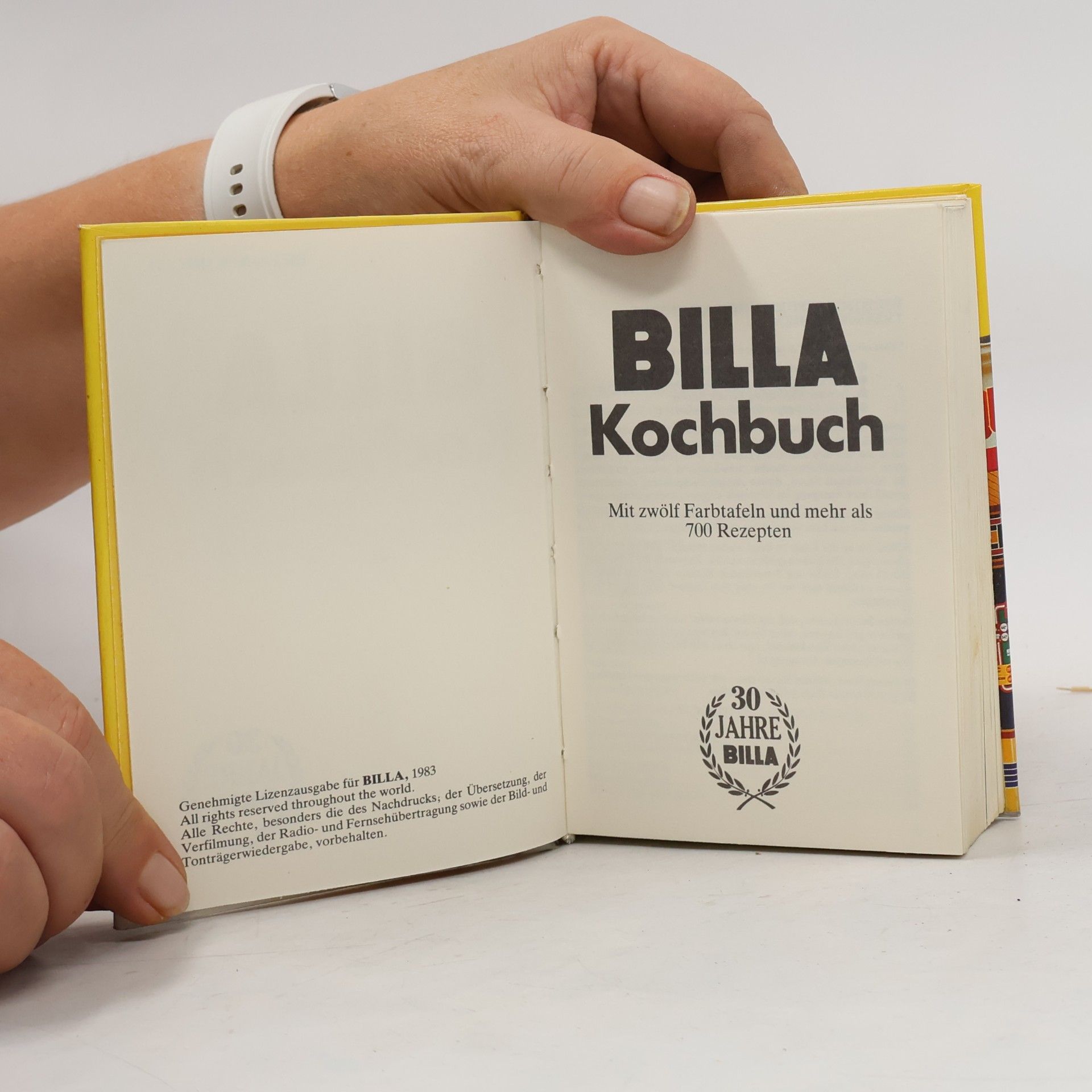 Autorenkollektiv BILLA Kochbuch