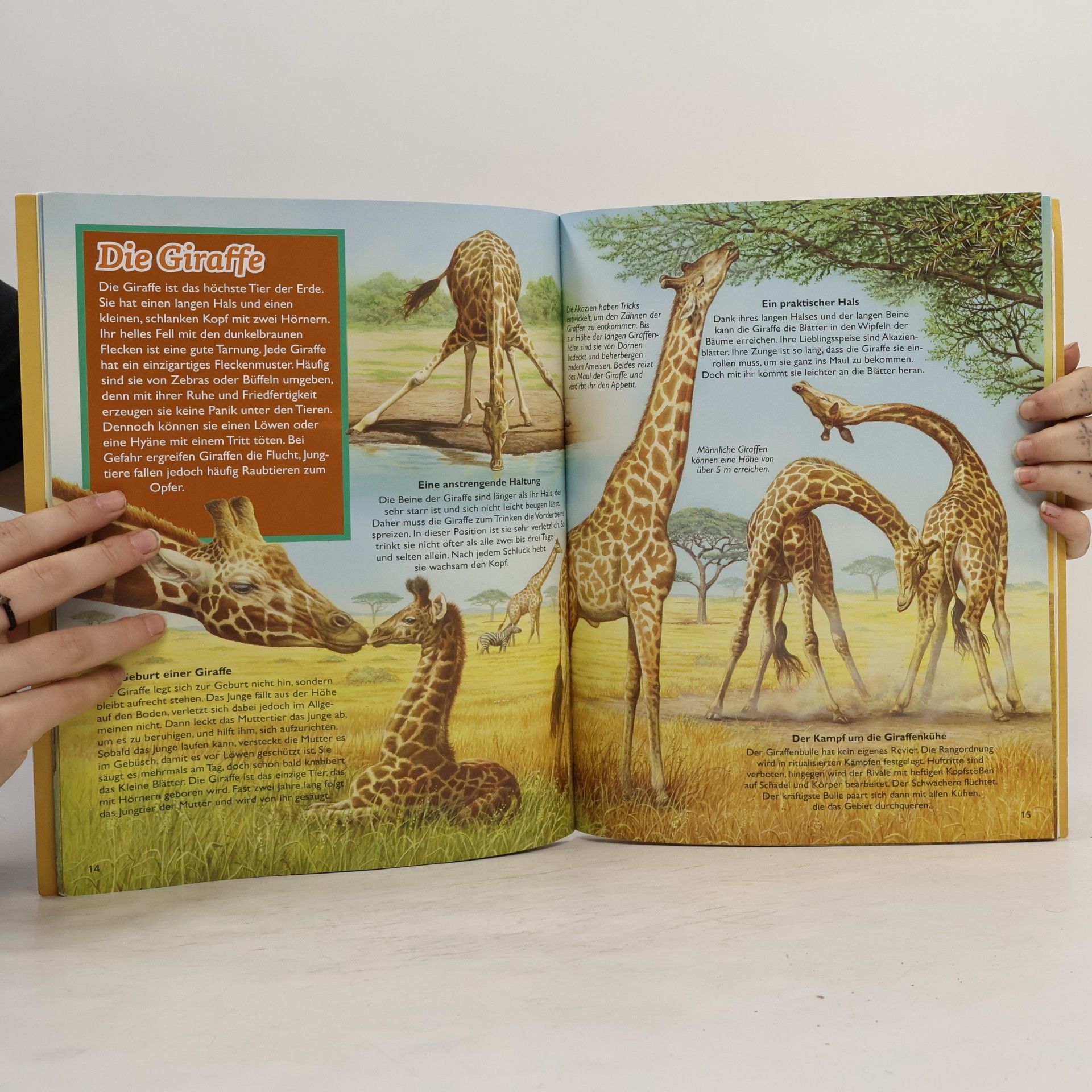 Autorenkollektiv Tiere Afrikas