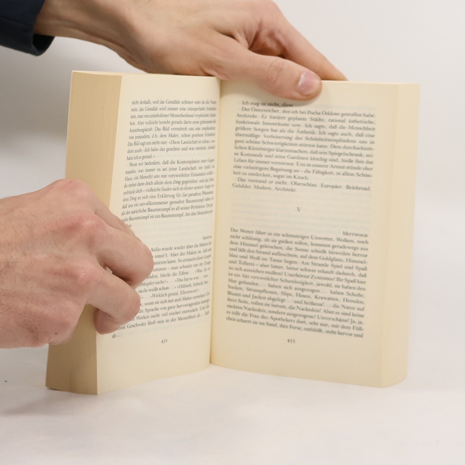 Witold Marian Gombrowicz Tagebuch 1953 - 1969