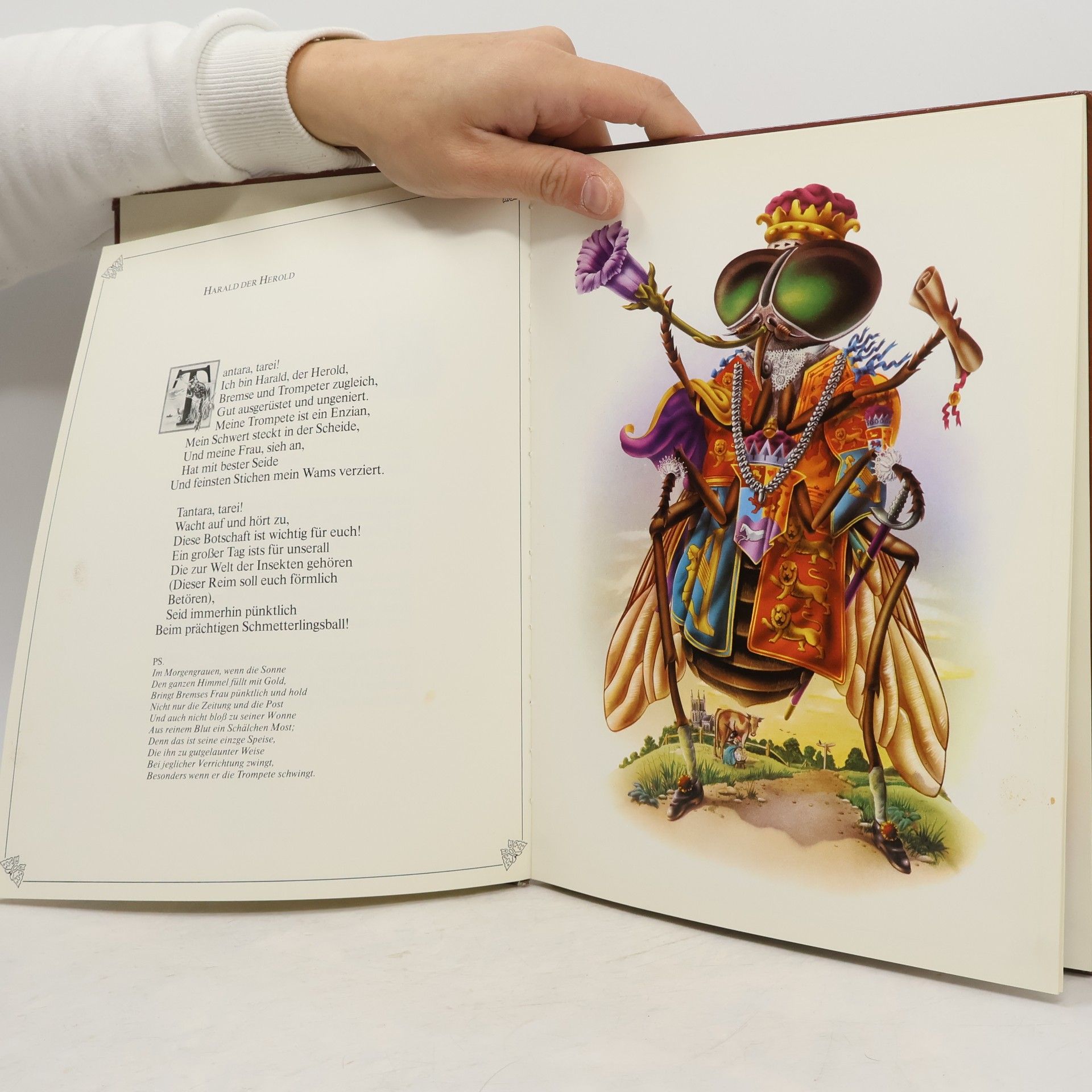 Alan Aldridge Der Butterfly Ball und das Grashüpferfest
