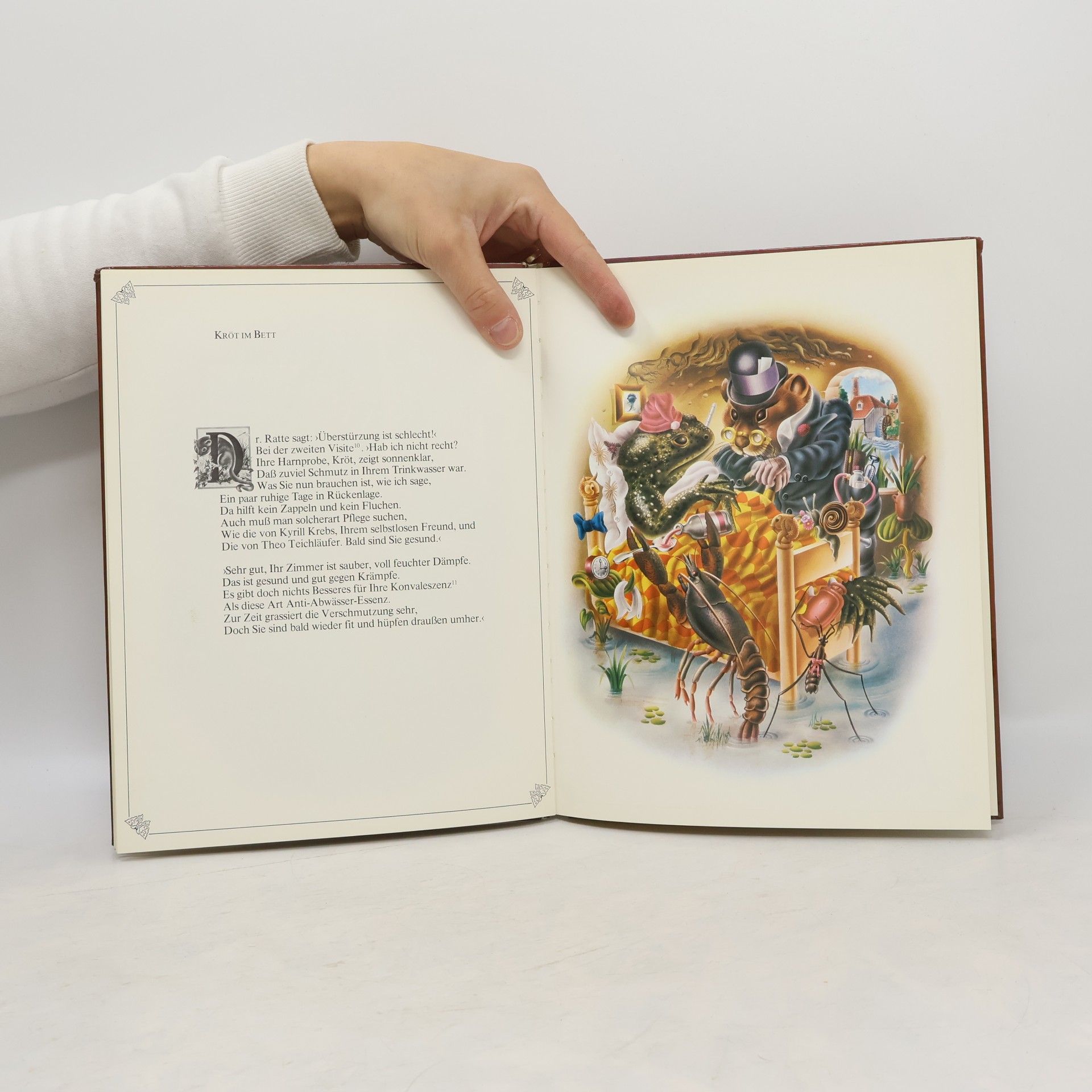 Alan Aldridge Der Butterfly Ball und das Grashüpferfest