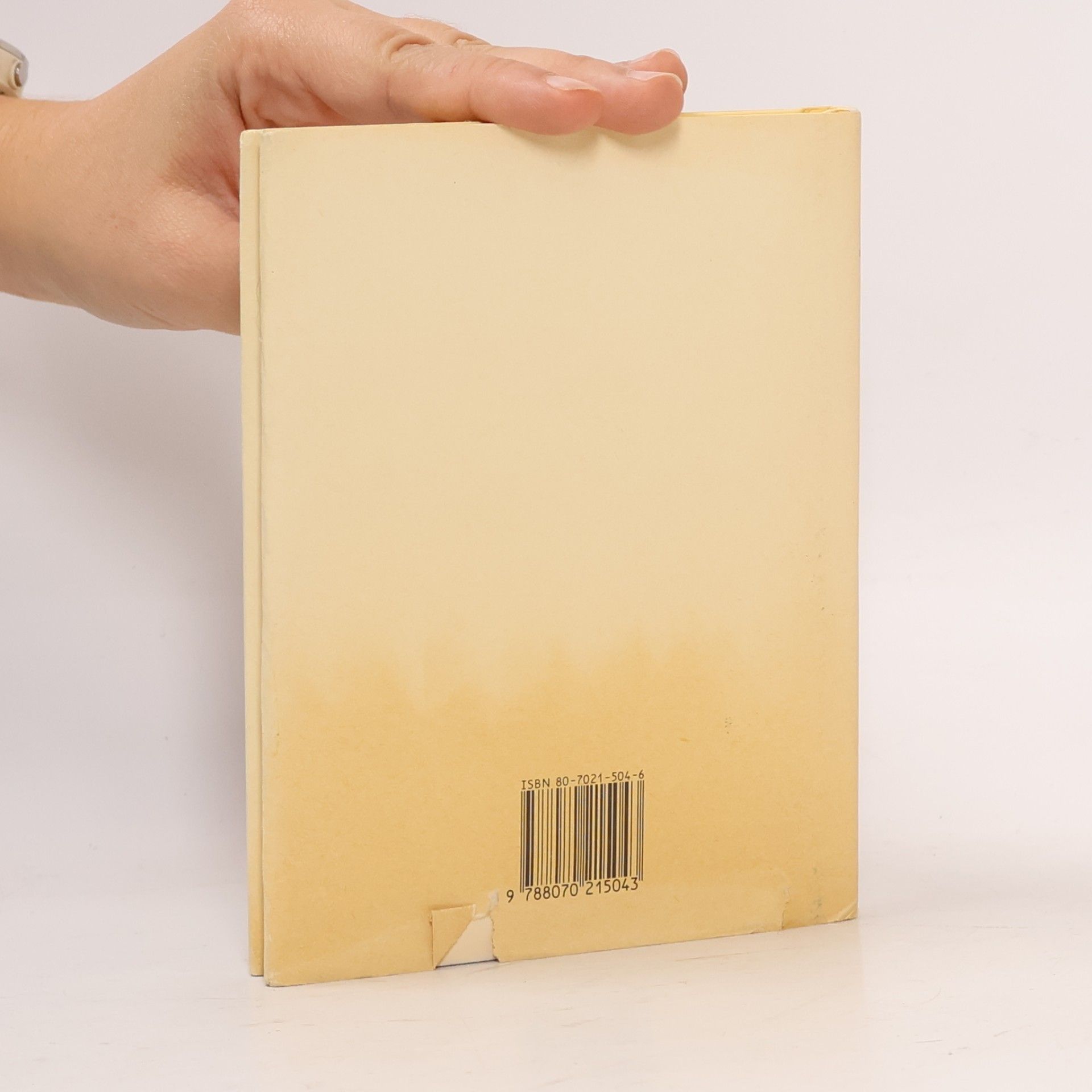 H̱alīl Ǧibrān Písek a pěna